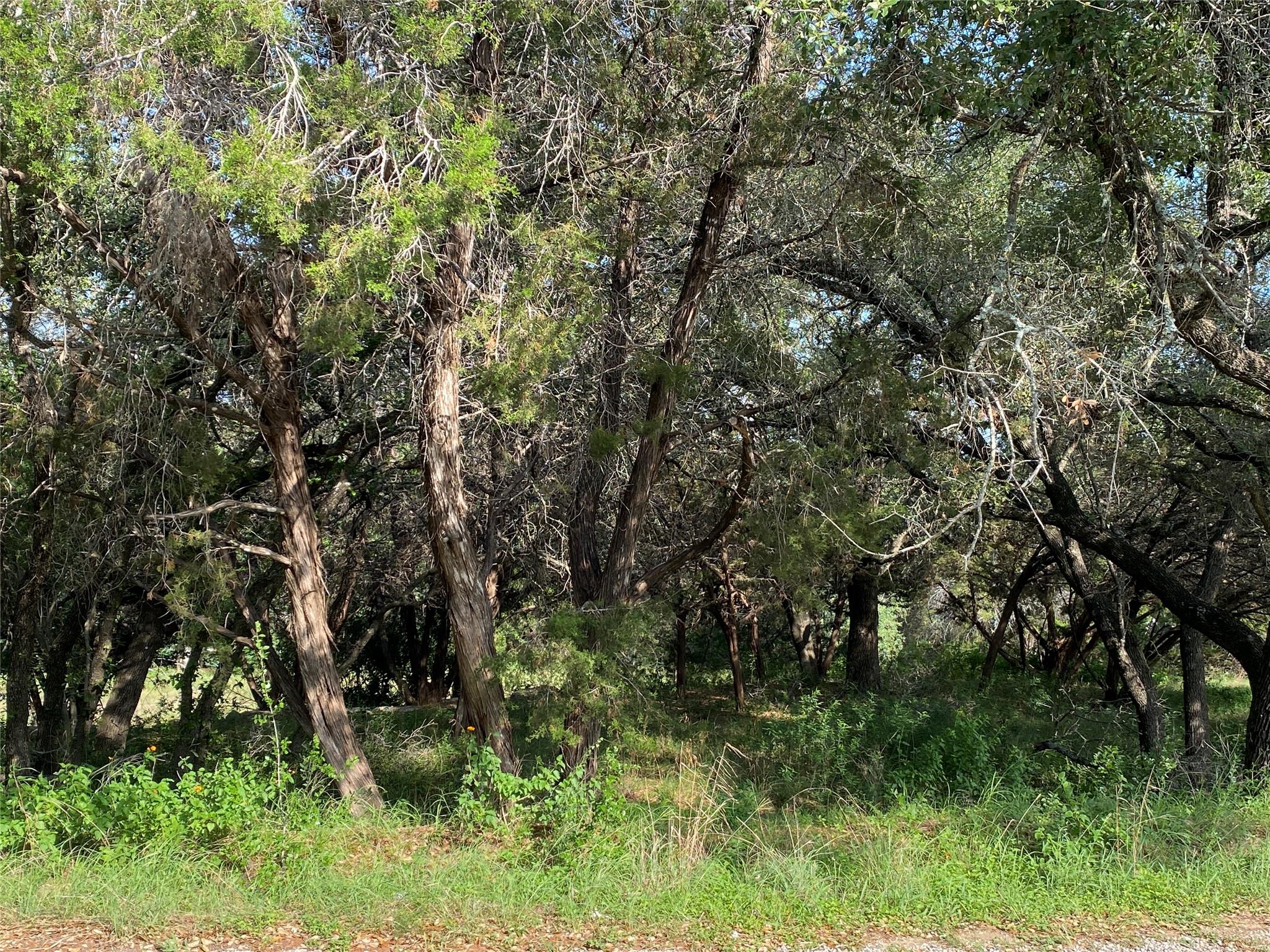 1401 Sharps Rd, Austin, TX 78734