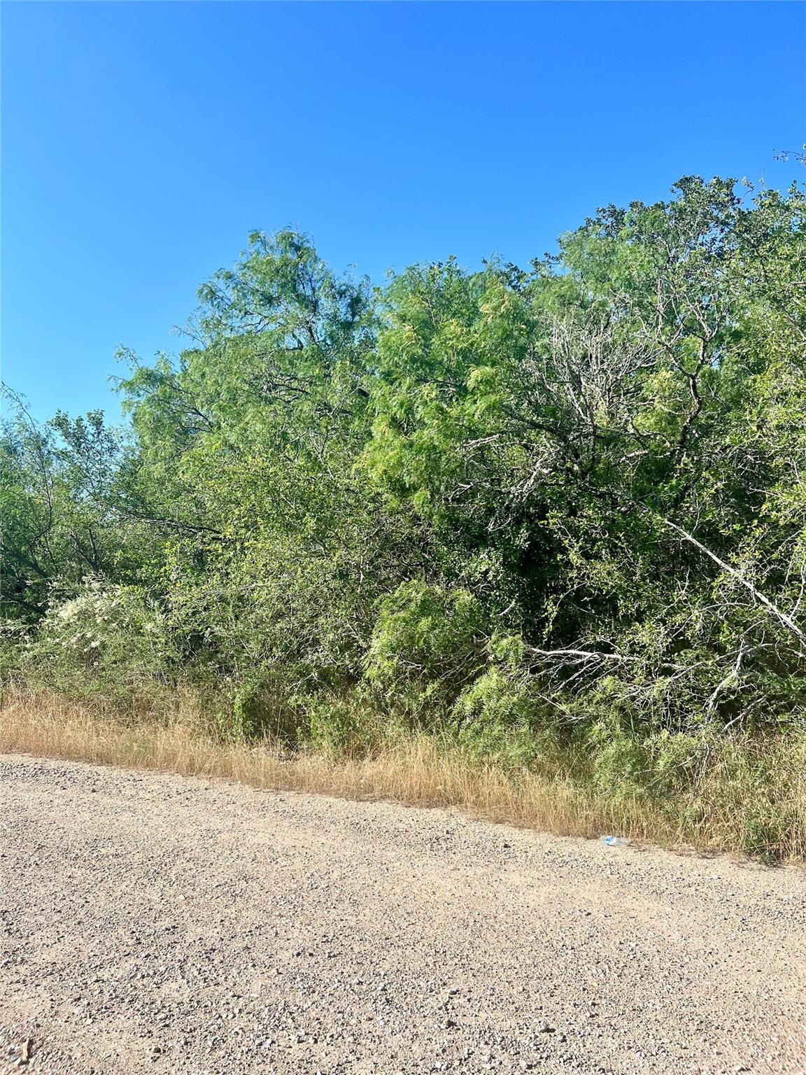 179 Helemano Dr, Bastrop, TX 78602