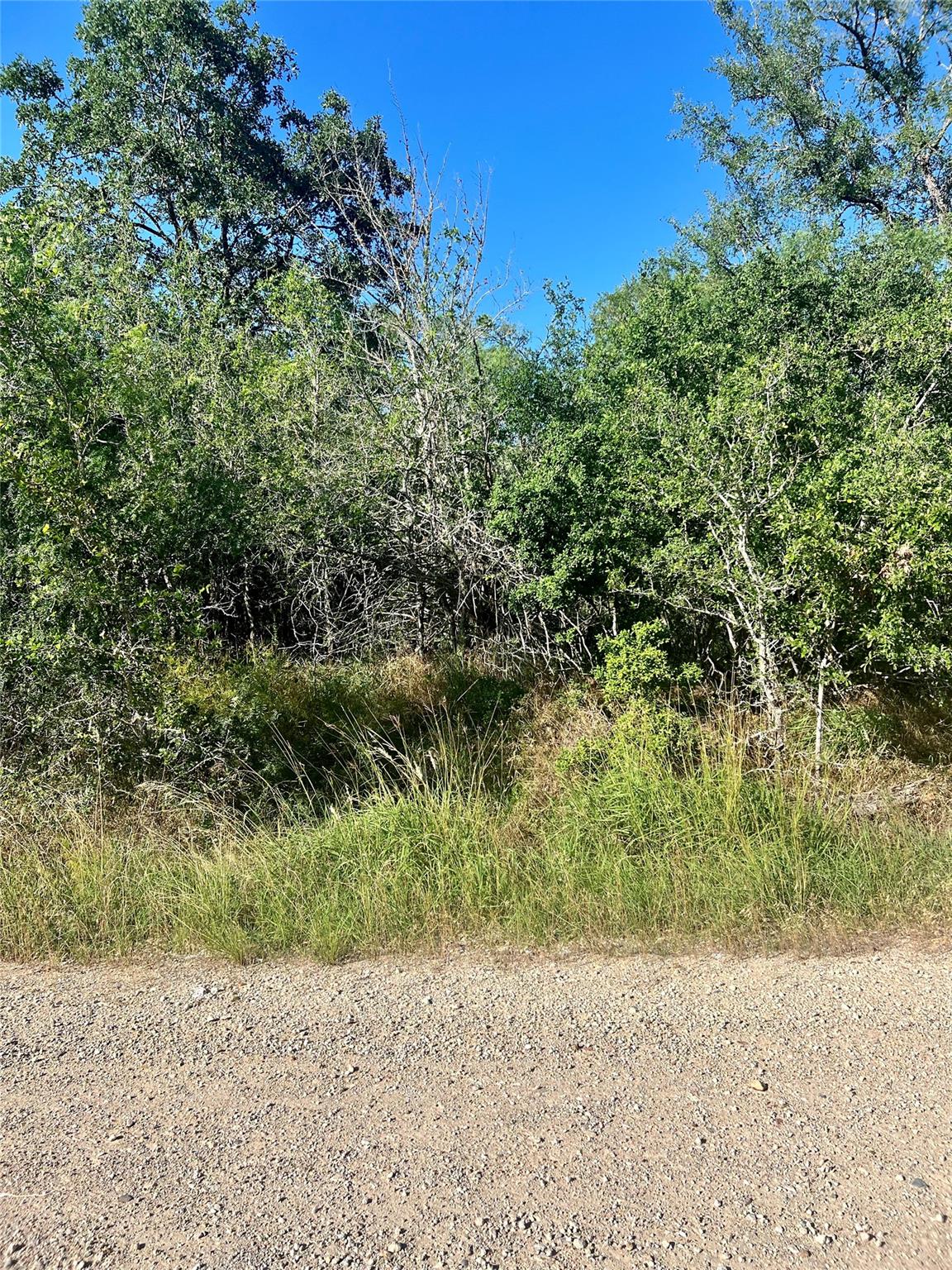 183 Helemano Dr, Bastrop, TX 78602