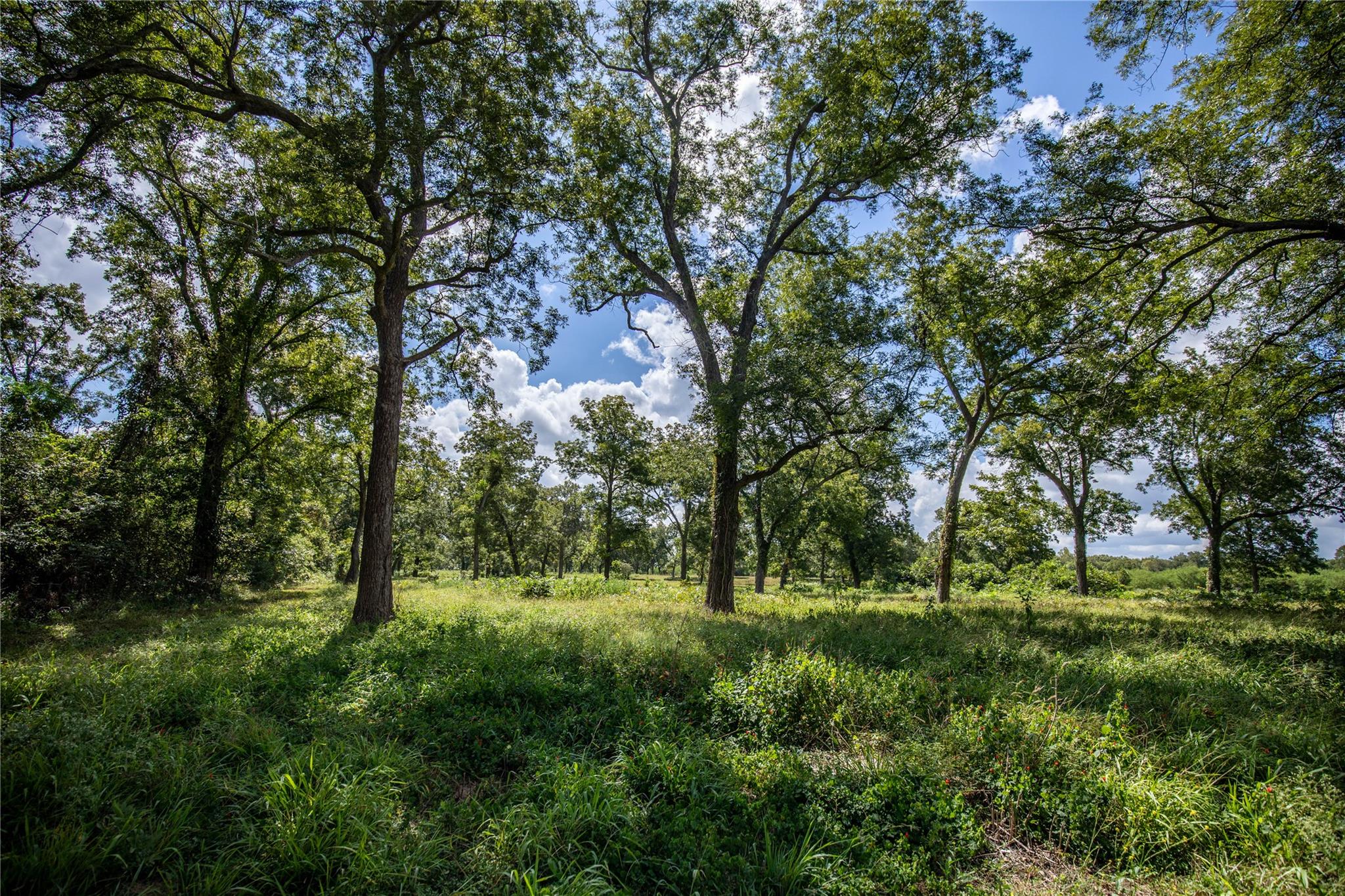 000 FM 766, Cuero, TX 77954