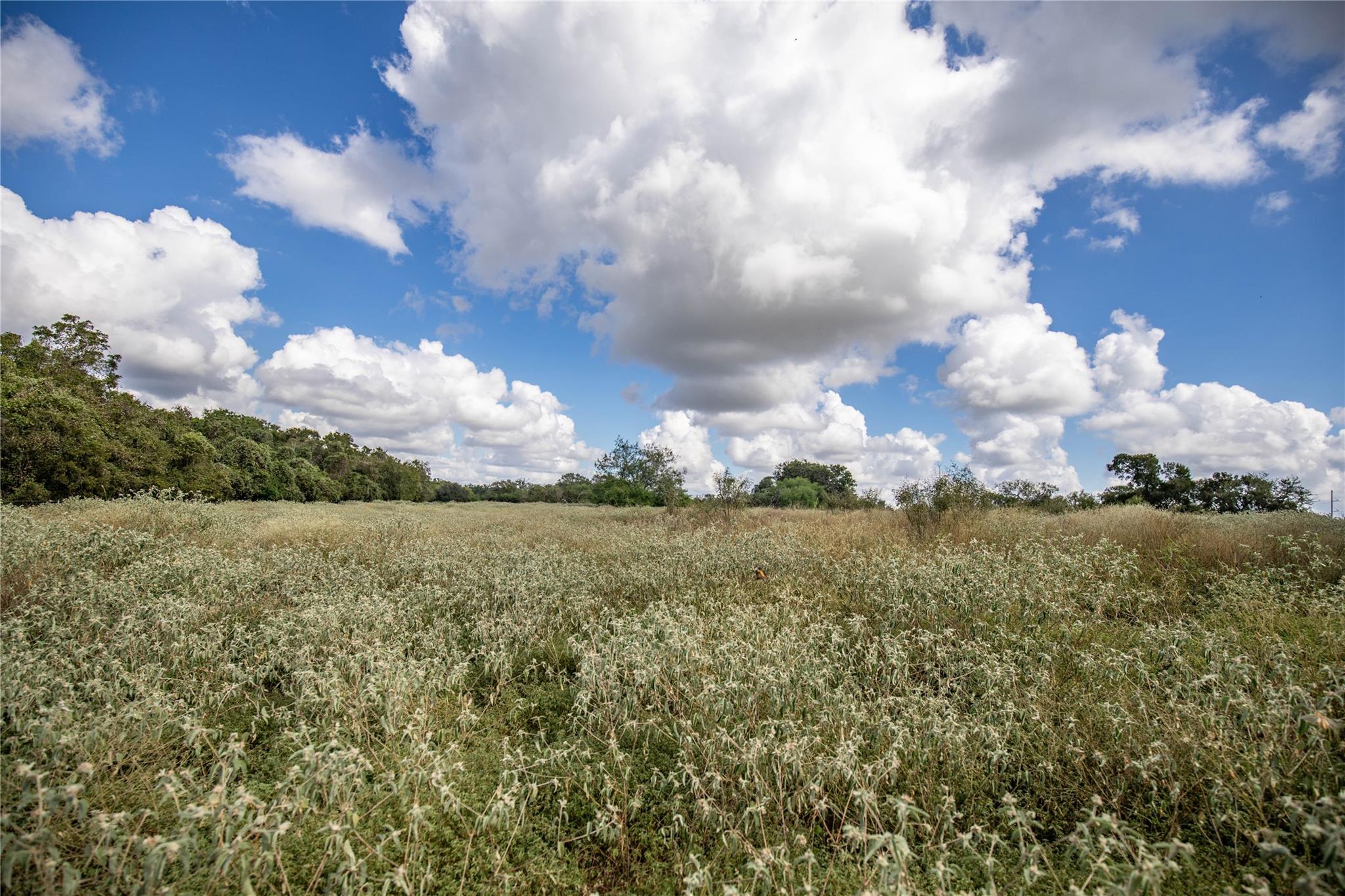 000 FM 766, Cuero, TX 77954