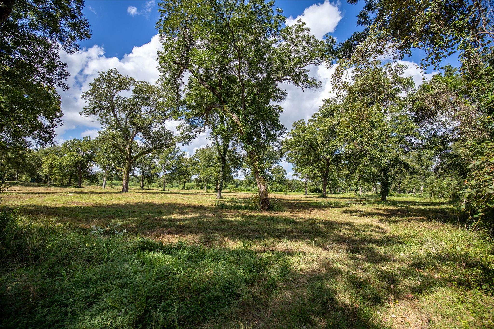 000 FM 766, Cuero, TX 77954