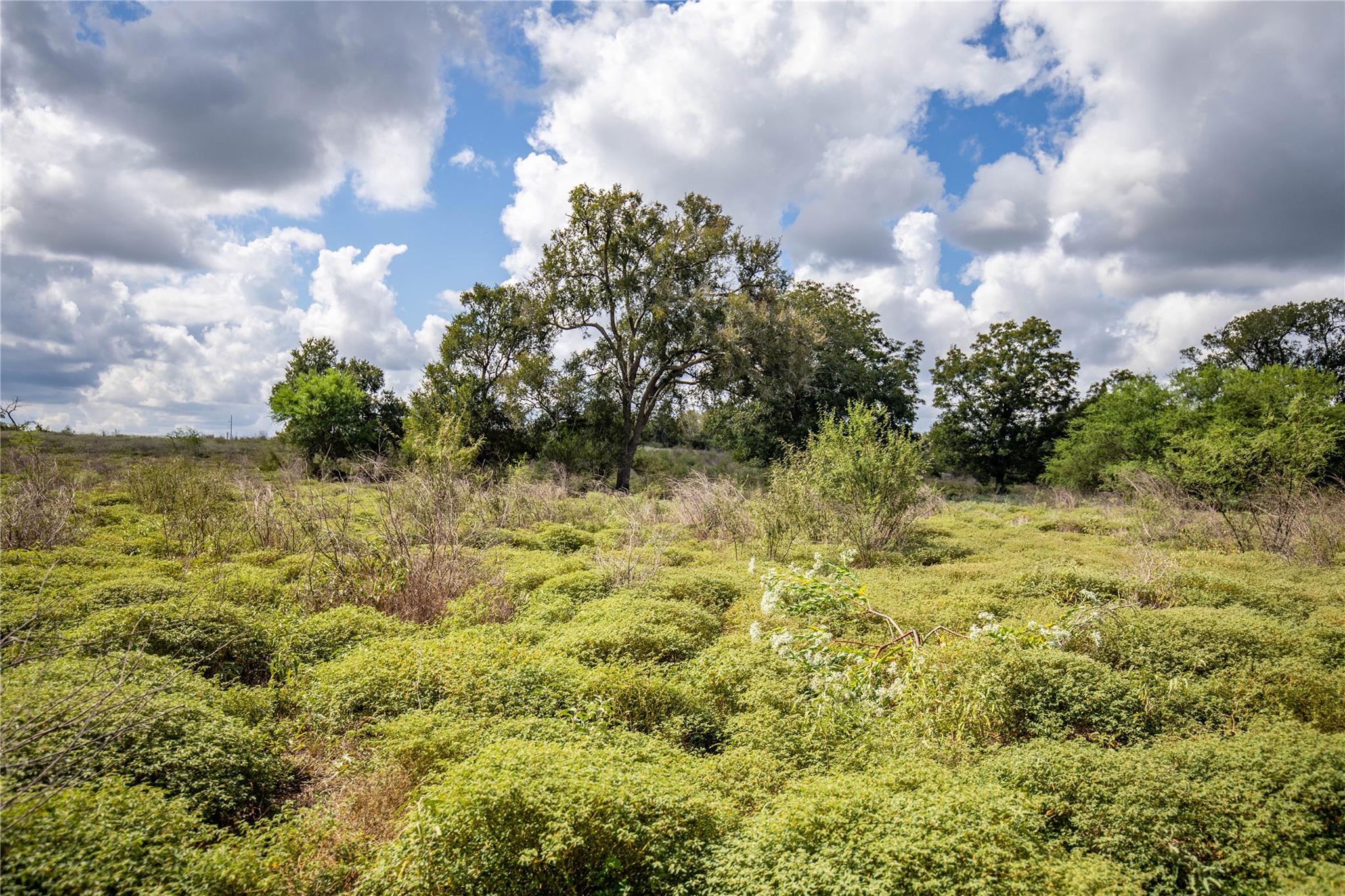 000 FM 766, Cuero, TX 77954