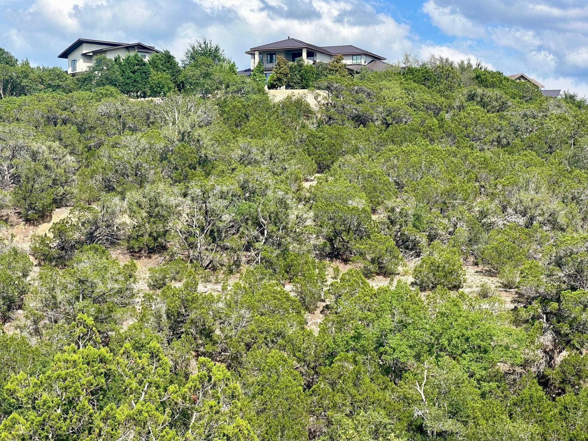 963 Tomichi Trl, Lakeway, TX 78738