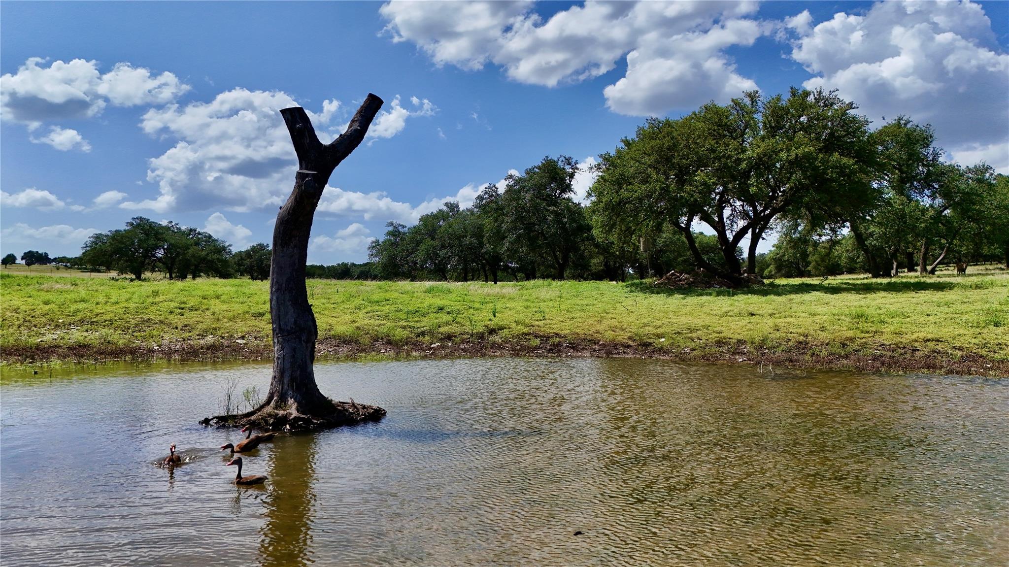 110 Clear Pond Ct, Spring Branch, TX 78070