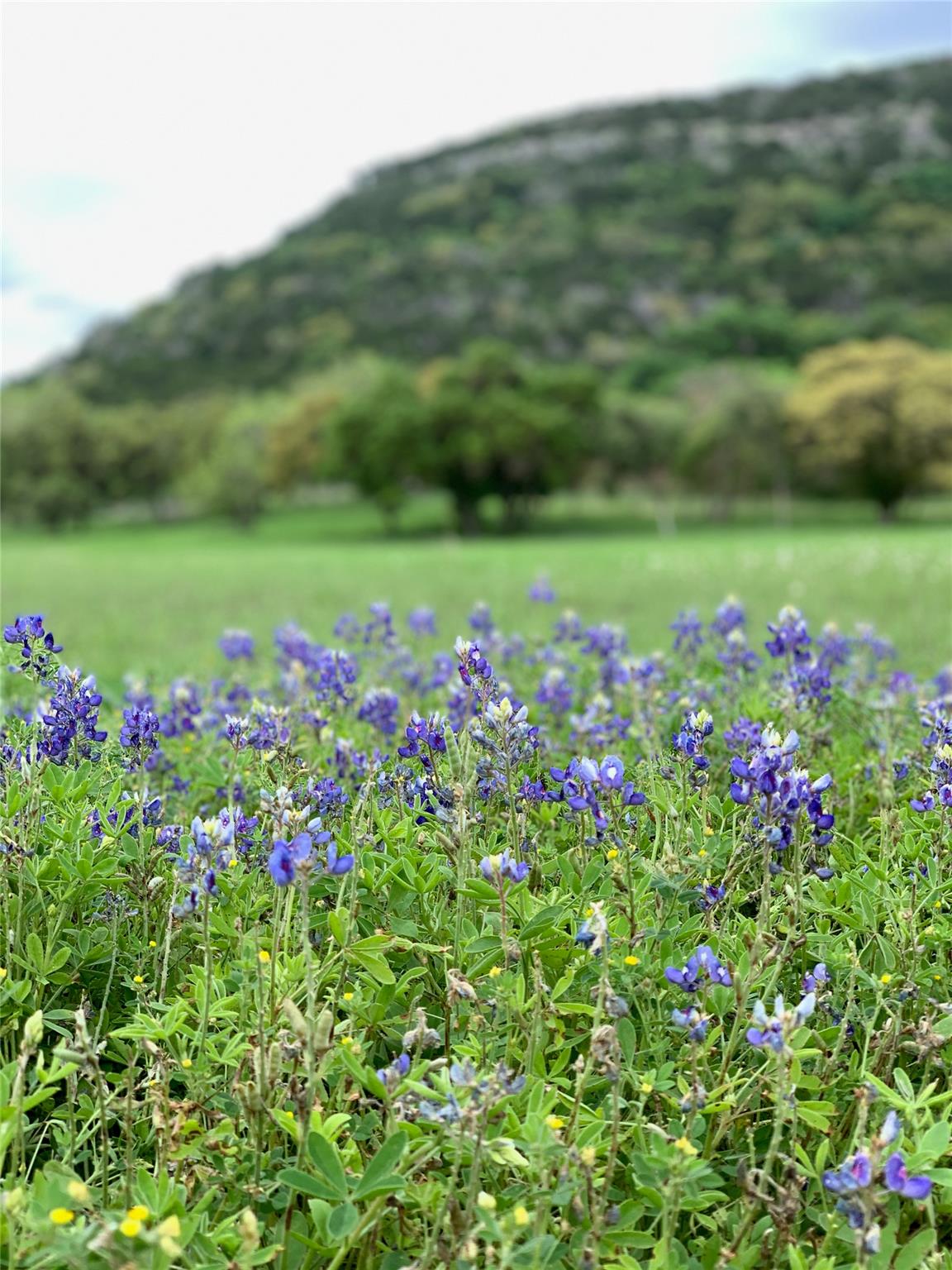 5824 N. US Hwy 83, Leakey, TX 78873