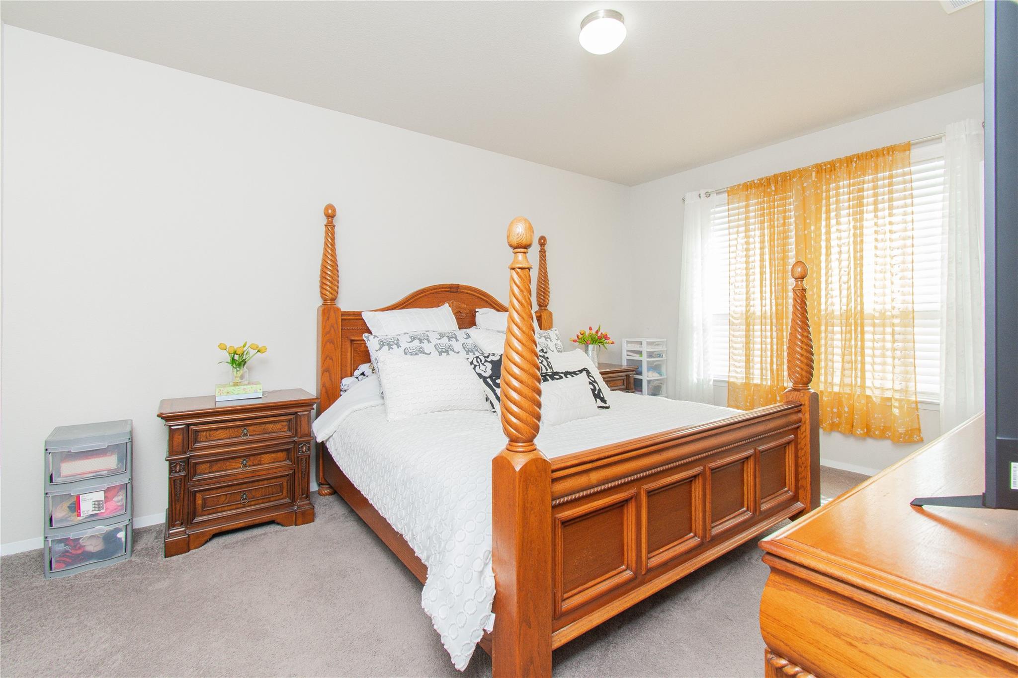 220 Blue Agate Ct, Jarrell, TX 76537