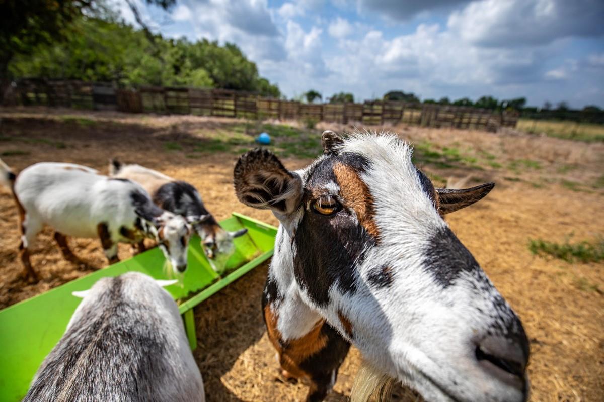 143 Harrison Rd, Beeville, TX 78102