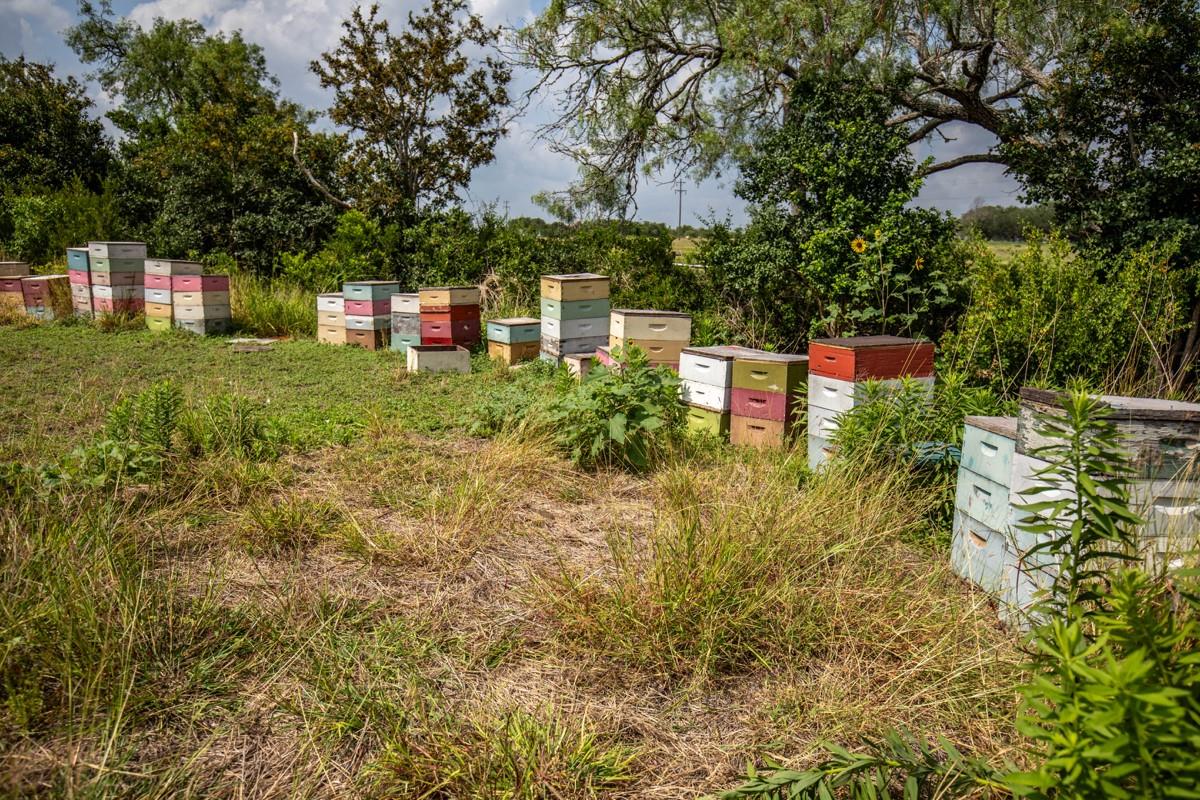 143 Harrison Rd, Beeville, TX 78102