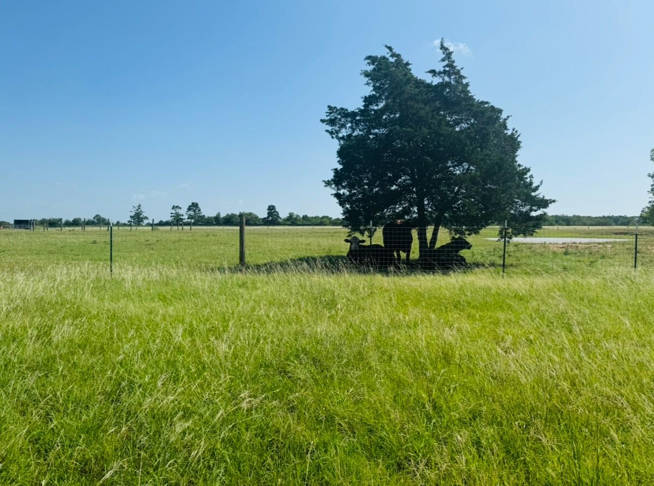 224 Crooked Hollow Dr, Elgin, TX 78621