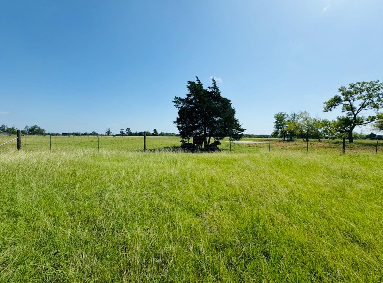 224 Crooked Hollow Dr, Elgin, TX 78621