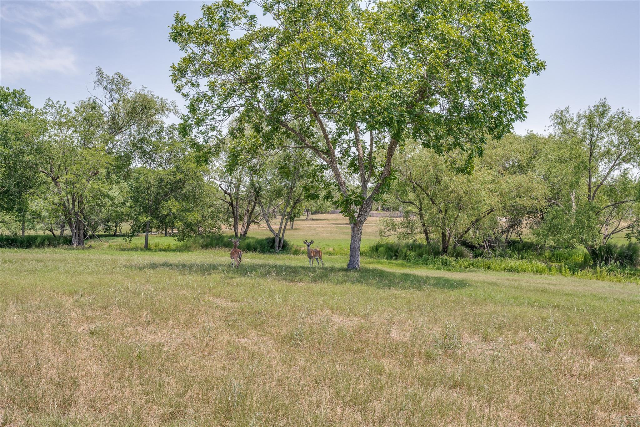 10745 Rosemar Ln, Adkins, TX 78101