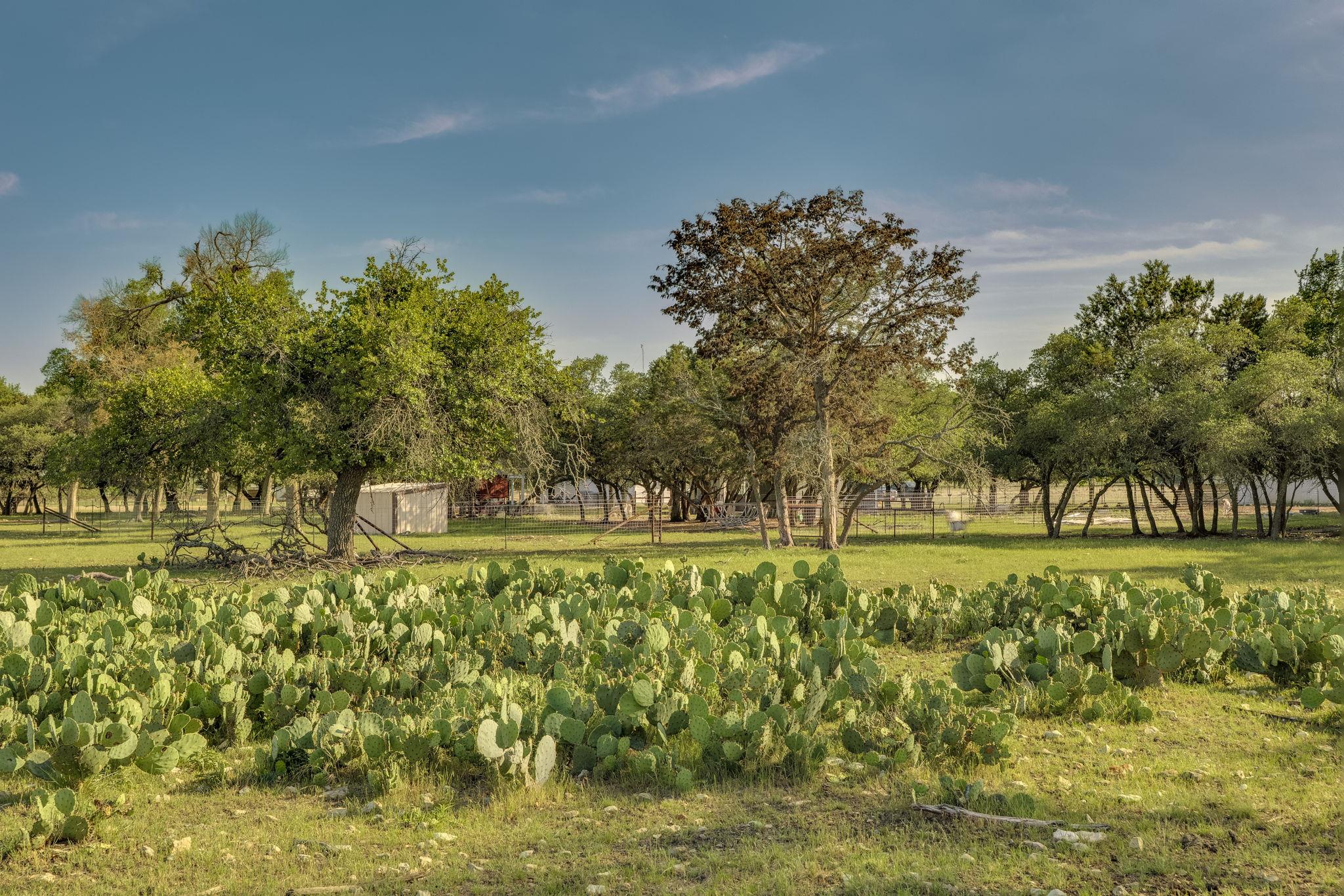 1185 County Road 258, Bertram, TX 78605