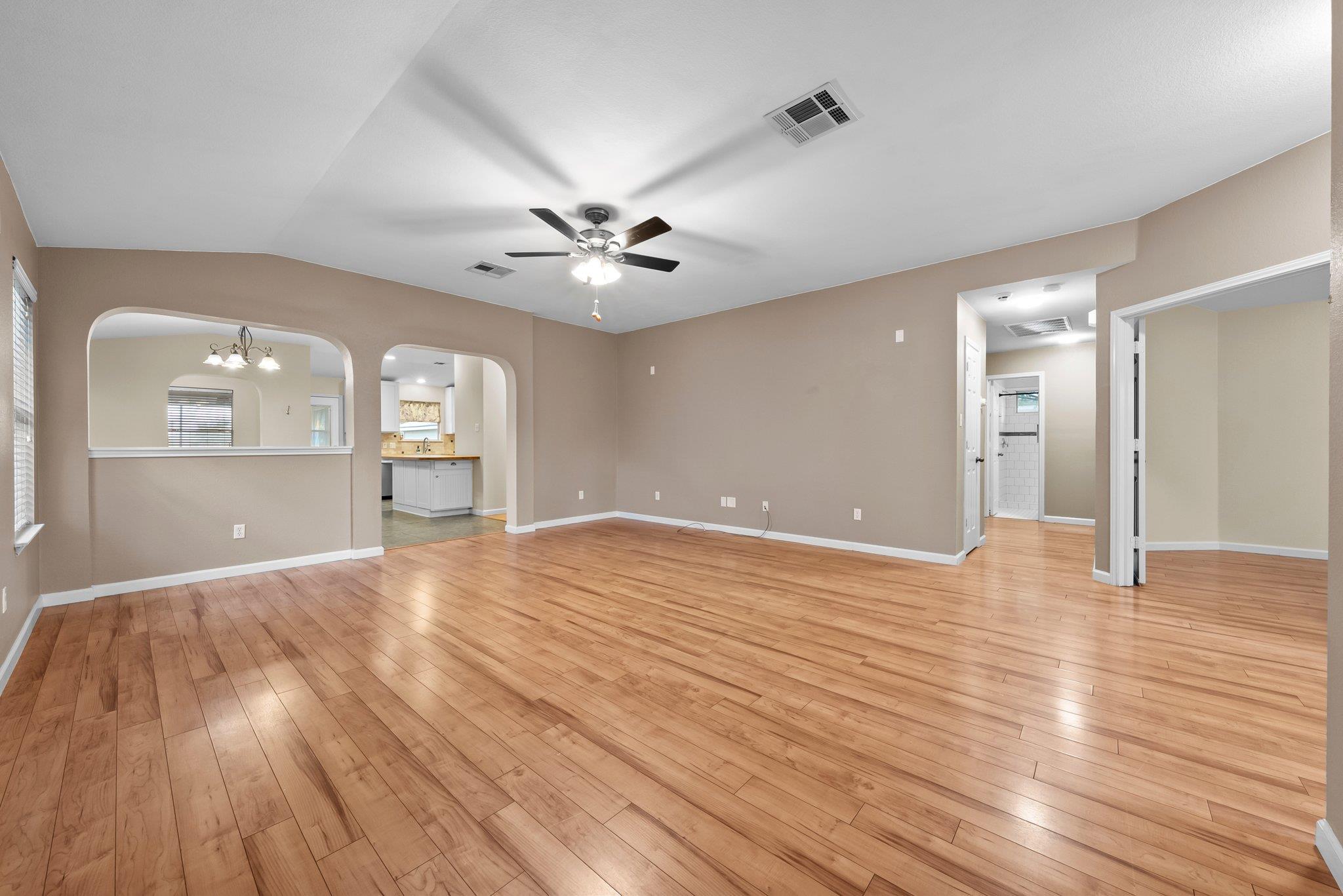 298 Hogan, Kyle, TX 78640