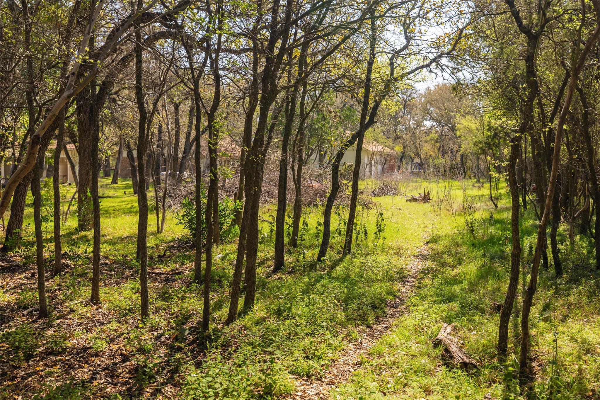 305 Reimer Ave, San Marcos, TX 78666