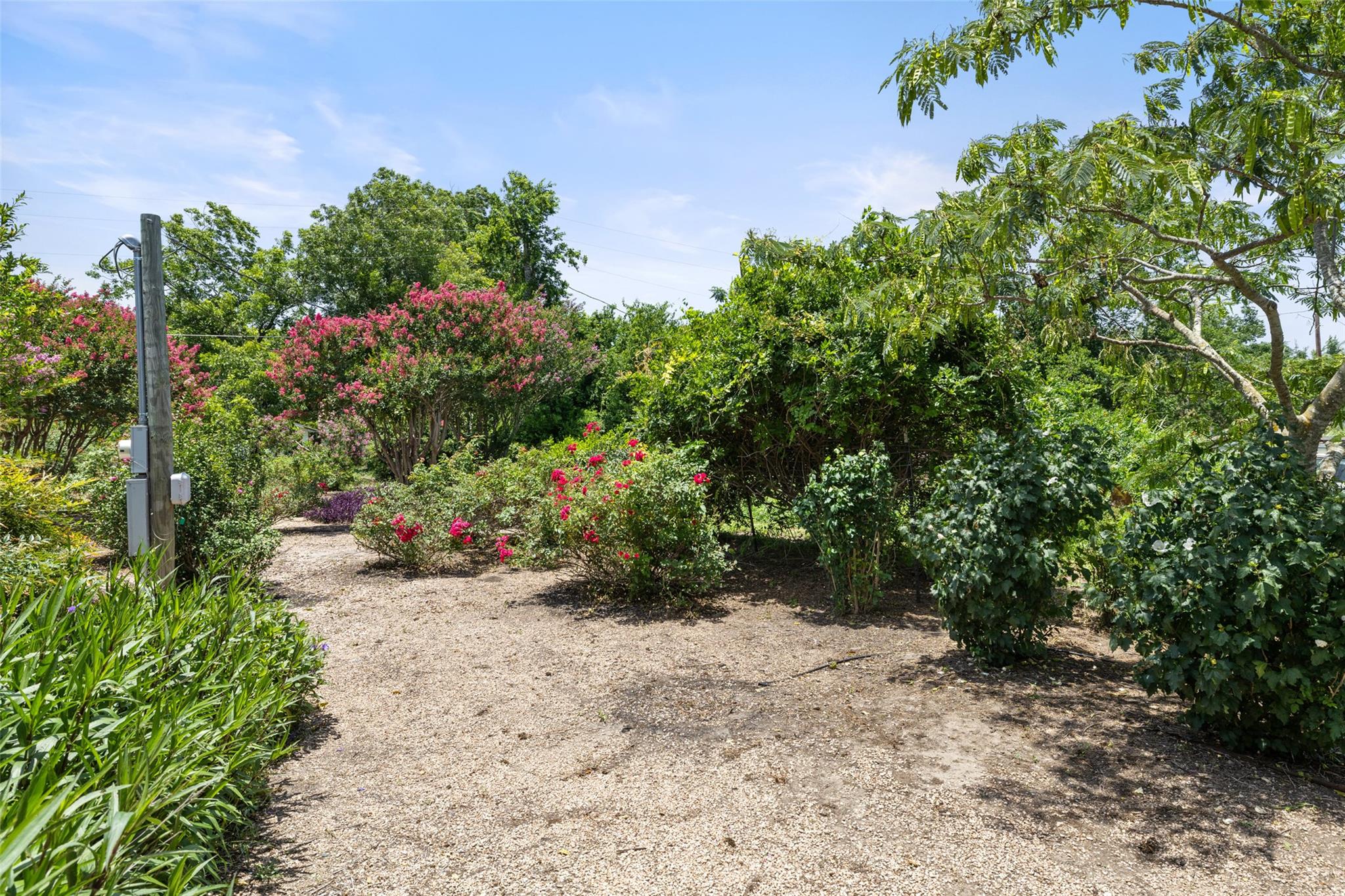 104 S 1st St, Thorndale, TX 76577