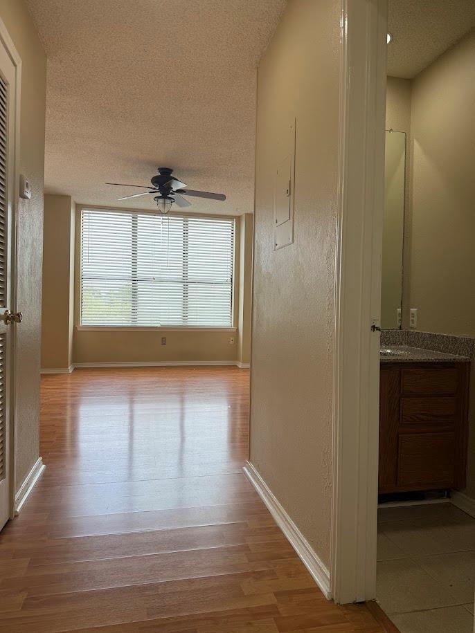 2409 Leon St # 305, Austin, TX 78705