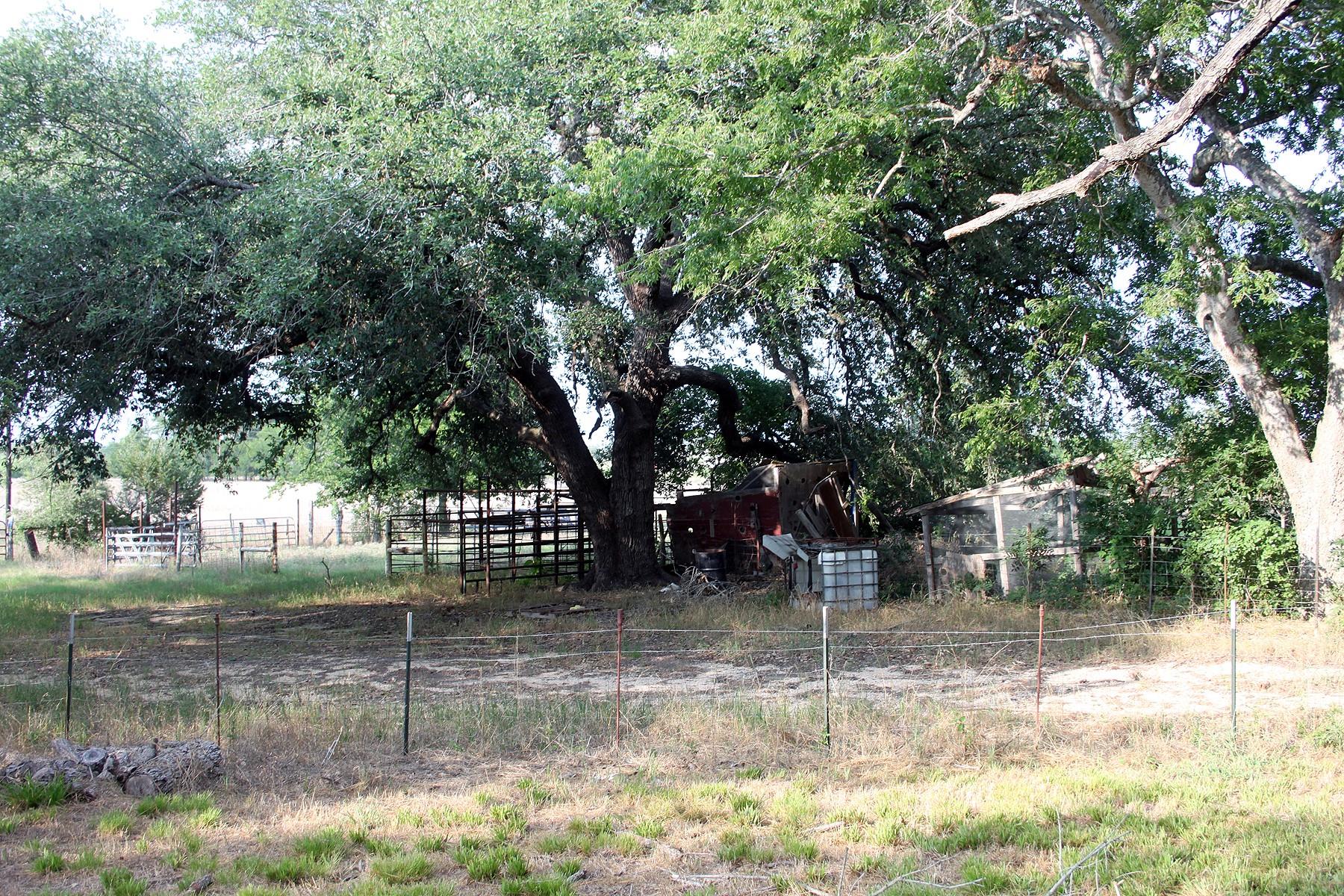 1141 Fm 3158, Dale, TX 78616