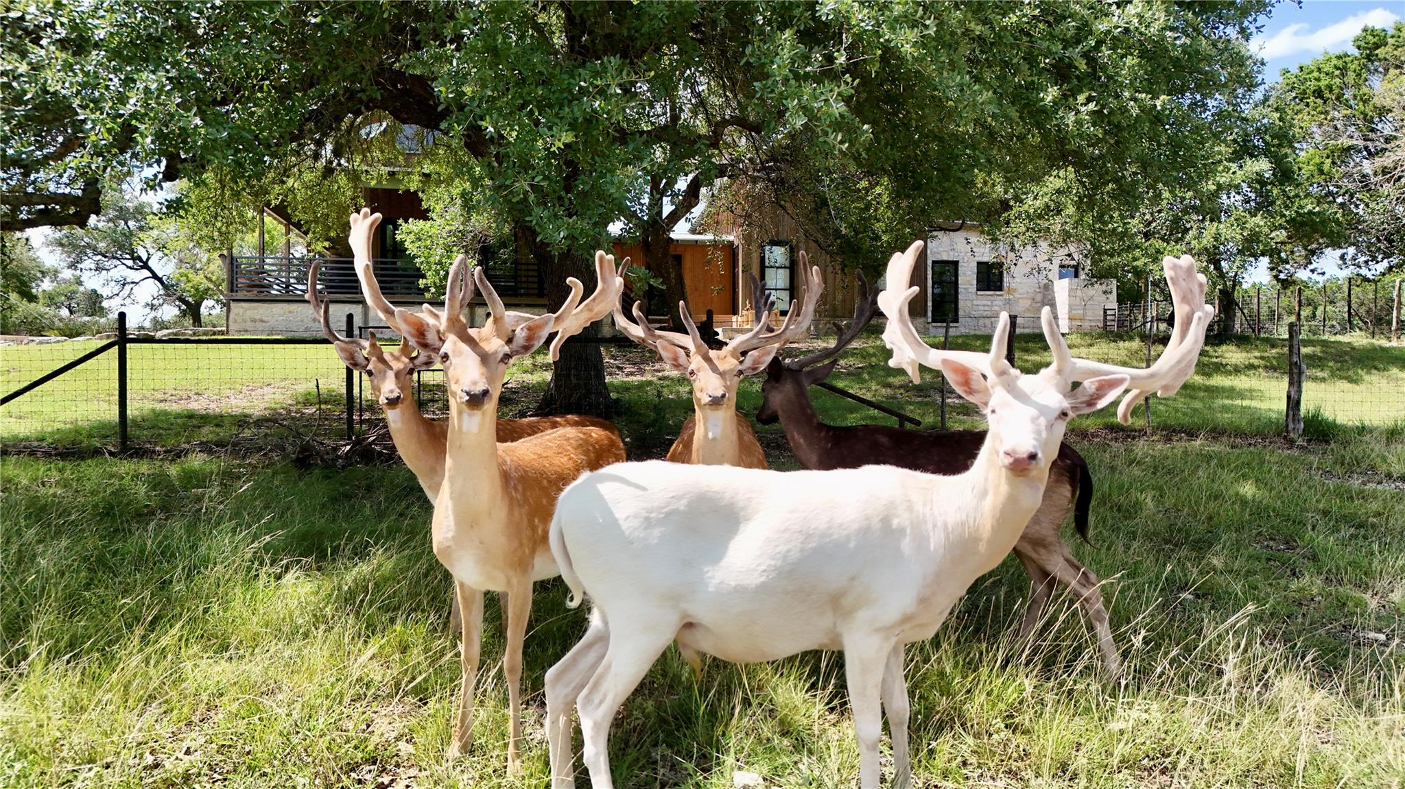 110 Clear Pond Ct, Spring Branch, TX 78070