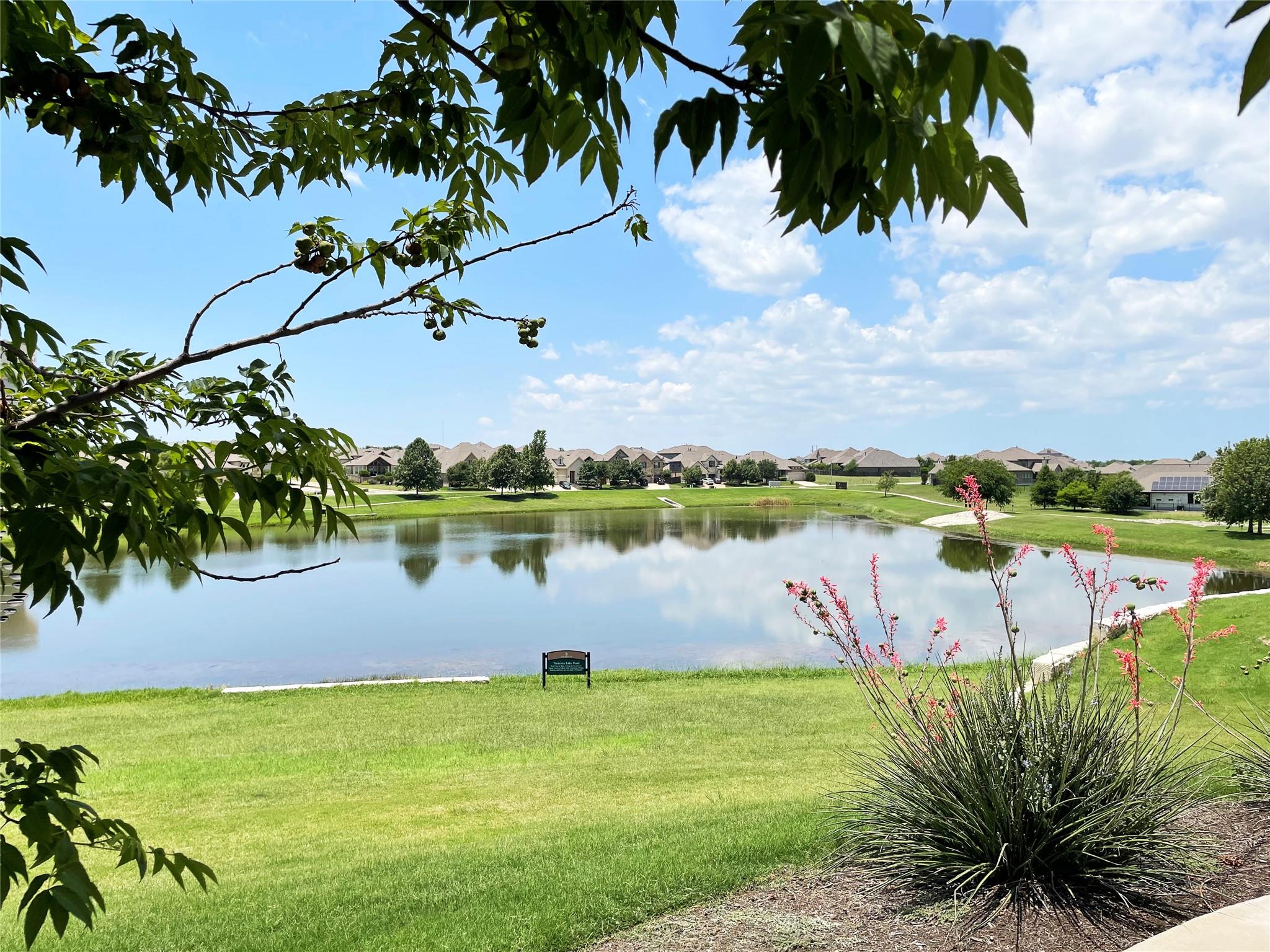 512 Blue Agave Ln, Georgetown, TX 78626