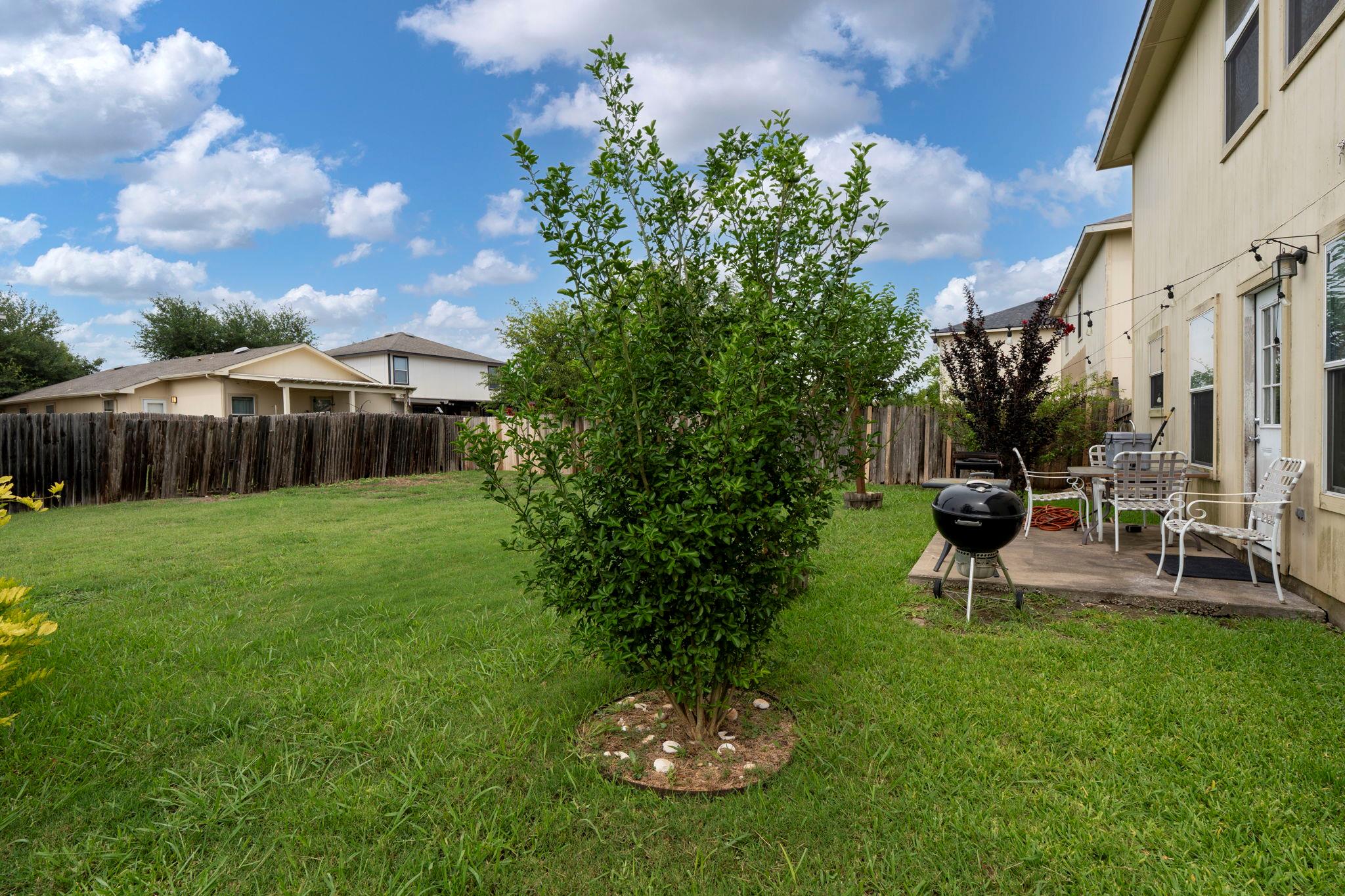 12712 Ring Dr, Manor, TX 78653