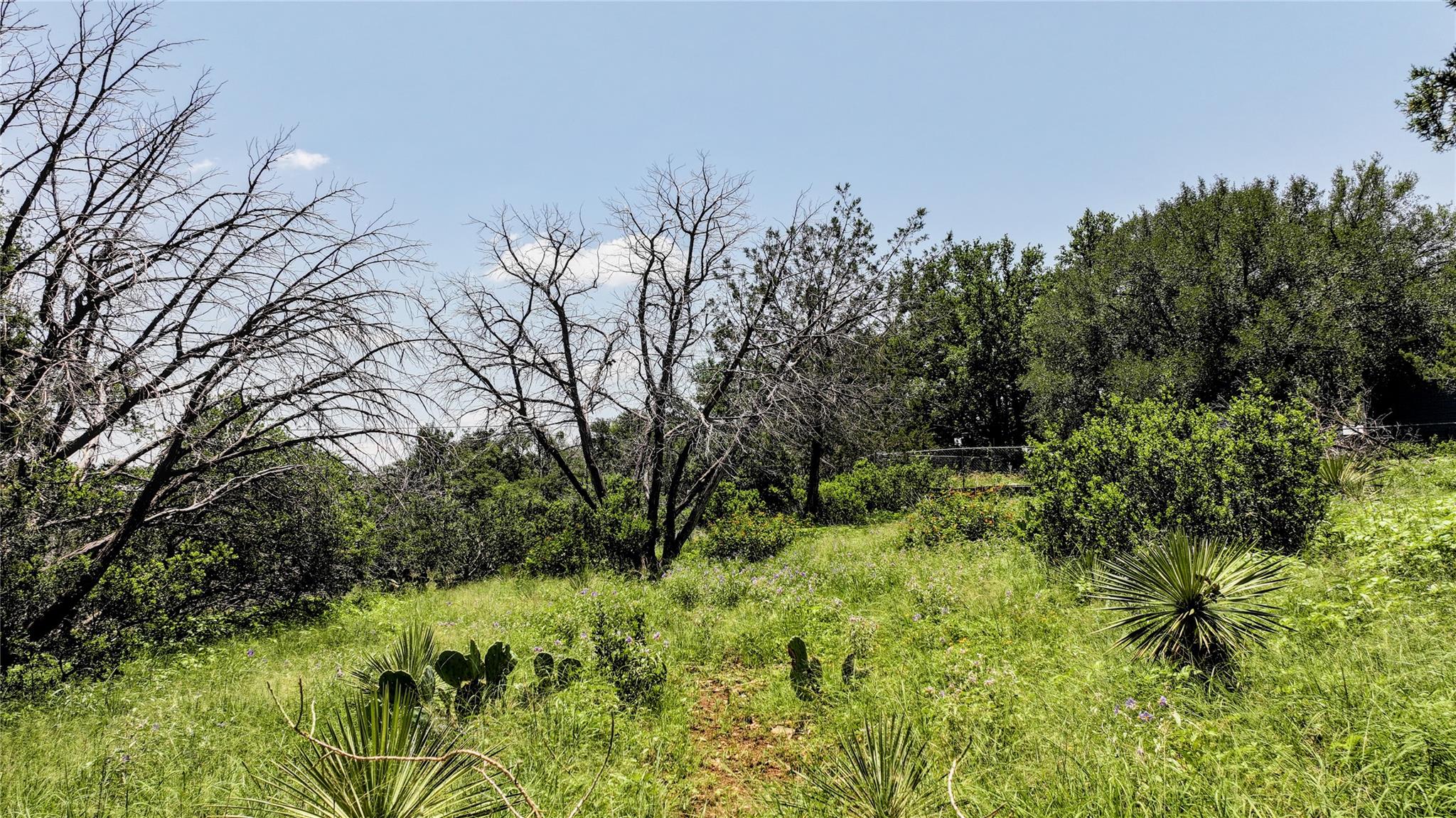 Lot 598 Lakeway, Burnet, TX 78611