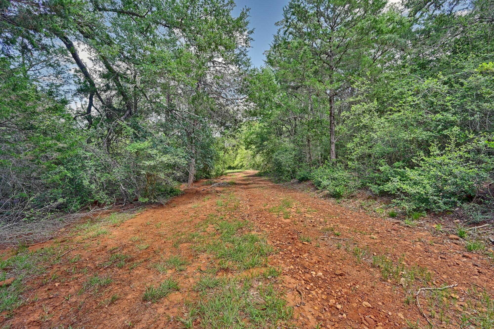 1368 County Road 207, Giddings, TX 78942