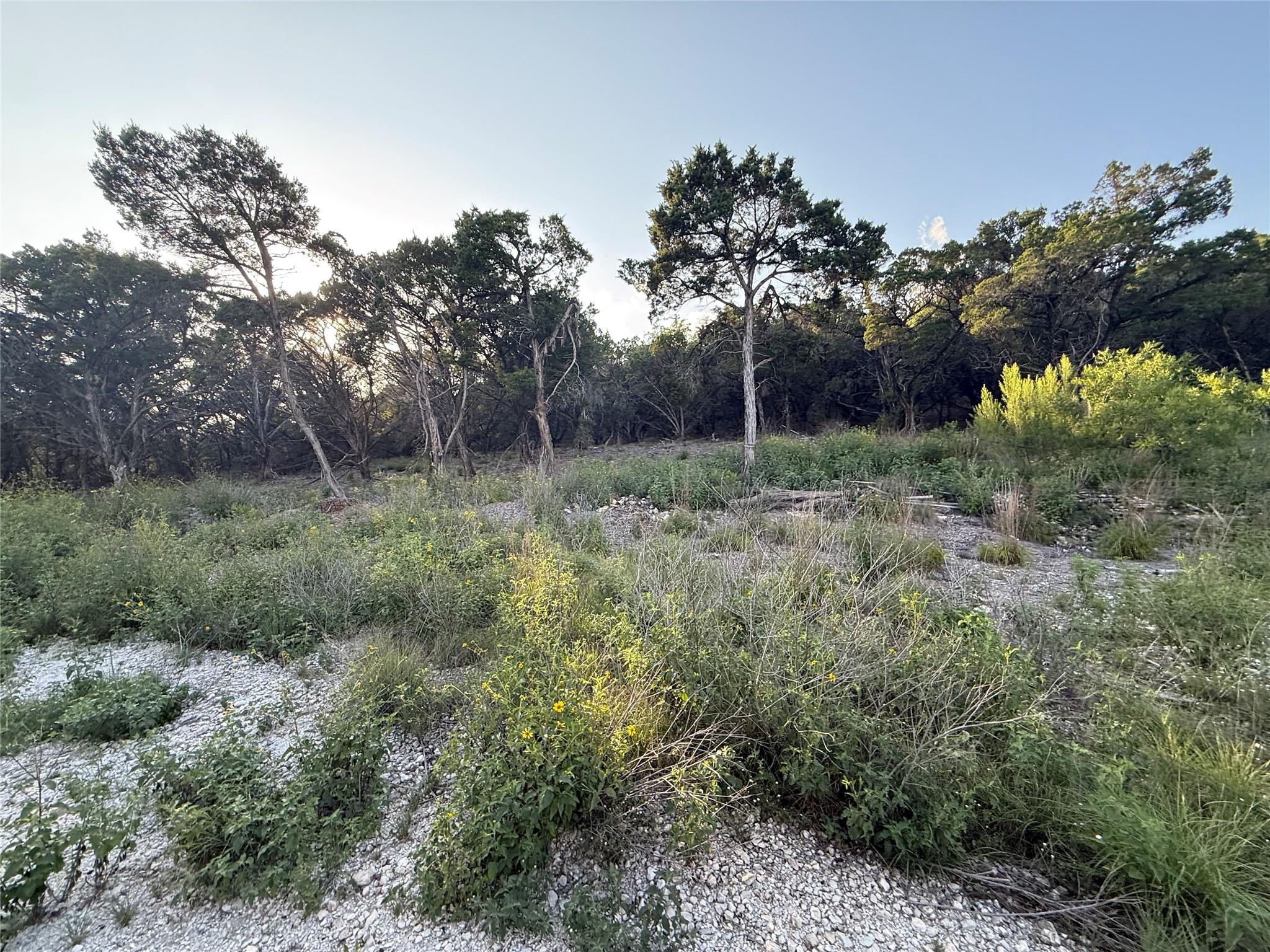 18801 Lake Crest Dr, Jonestown, TX 78645