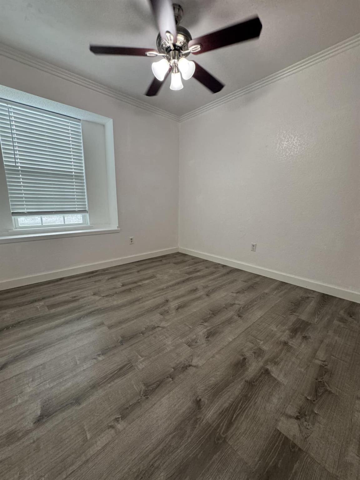 607 Garden Path Cv, Round Rock, TX 78664