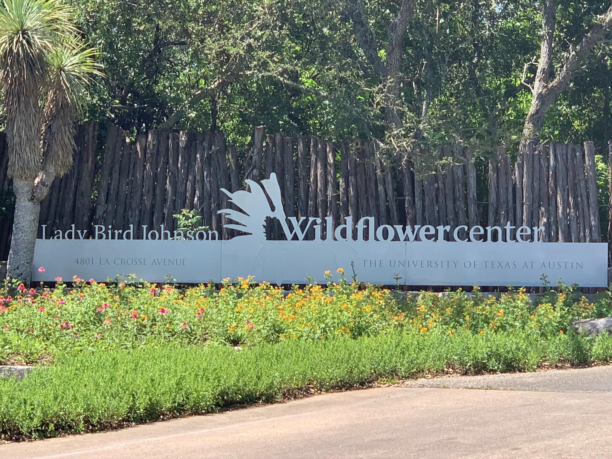 5009 Hibiscus Valley Dr, Austin, TX 78739