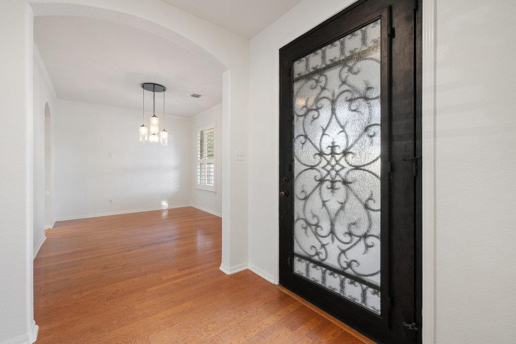 908 Golden Palomino Ct, Austin, TX 78732