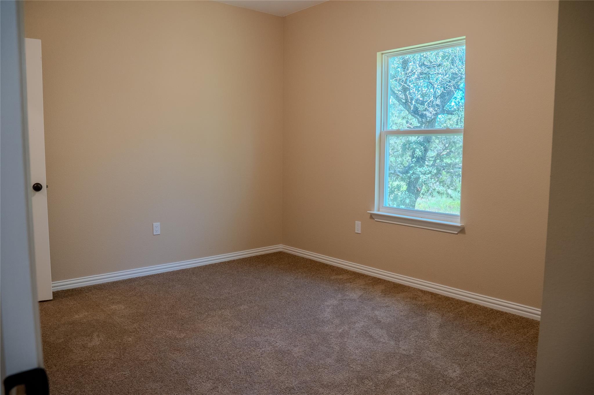 1875 Greenwood Ave, Kingsland, TX 78639