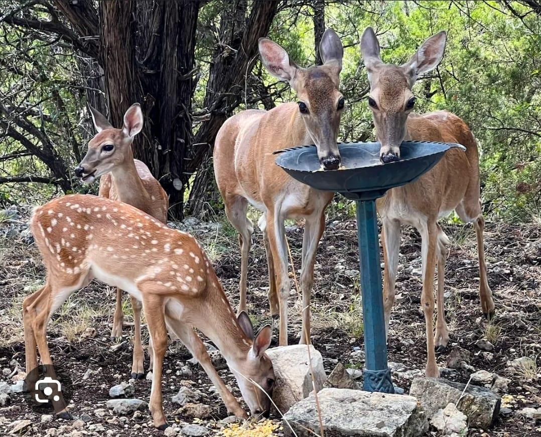 7821 Dakota Cir, Lago Vista, TX 78645