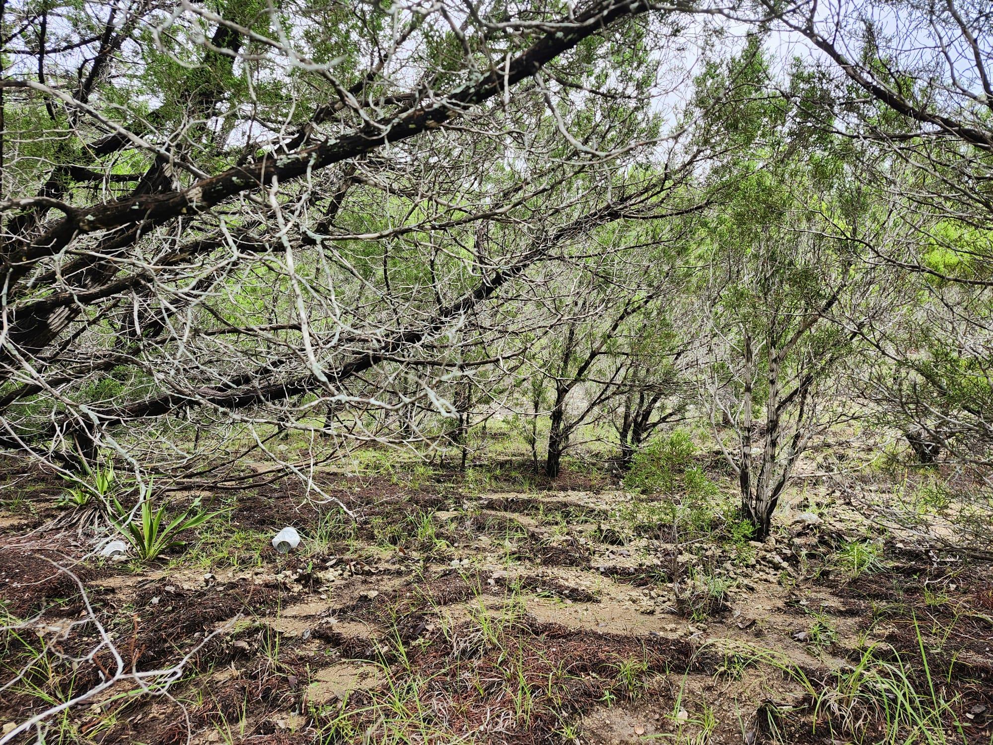 7821 Dakota Cir, Lago Vista, TX 78645