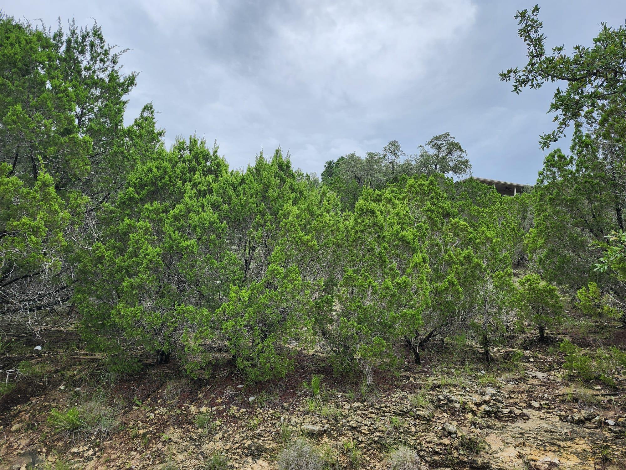 7821 Dakota Cir, Lago Vista, TX 78645