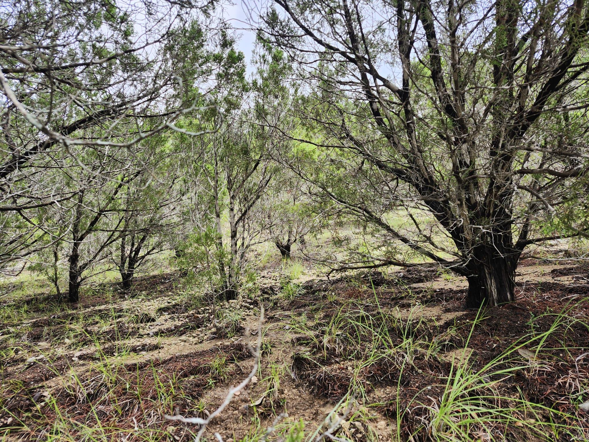 7821 Dakota Cir, Lago Vista, TX 78645