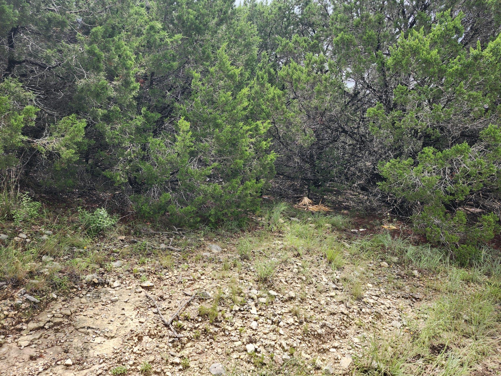 7821 Dakota Cir, Lago Vista, TX 78645