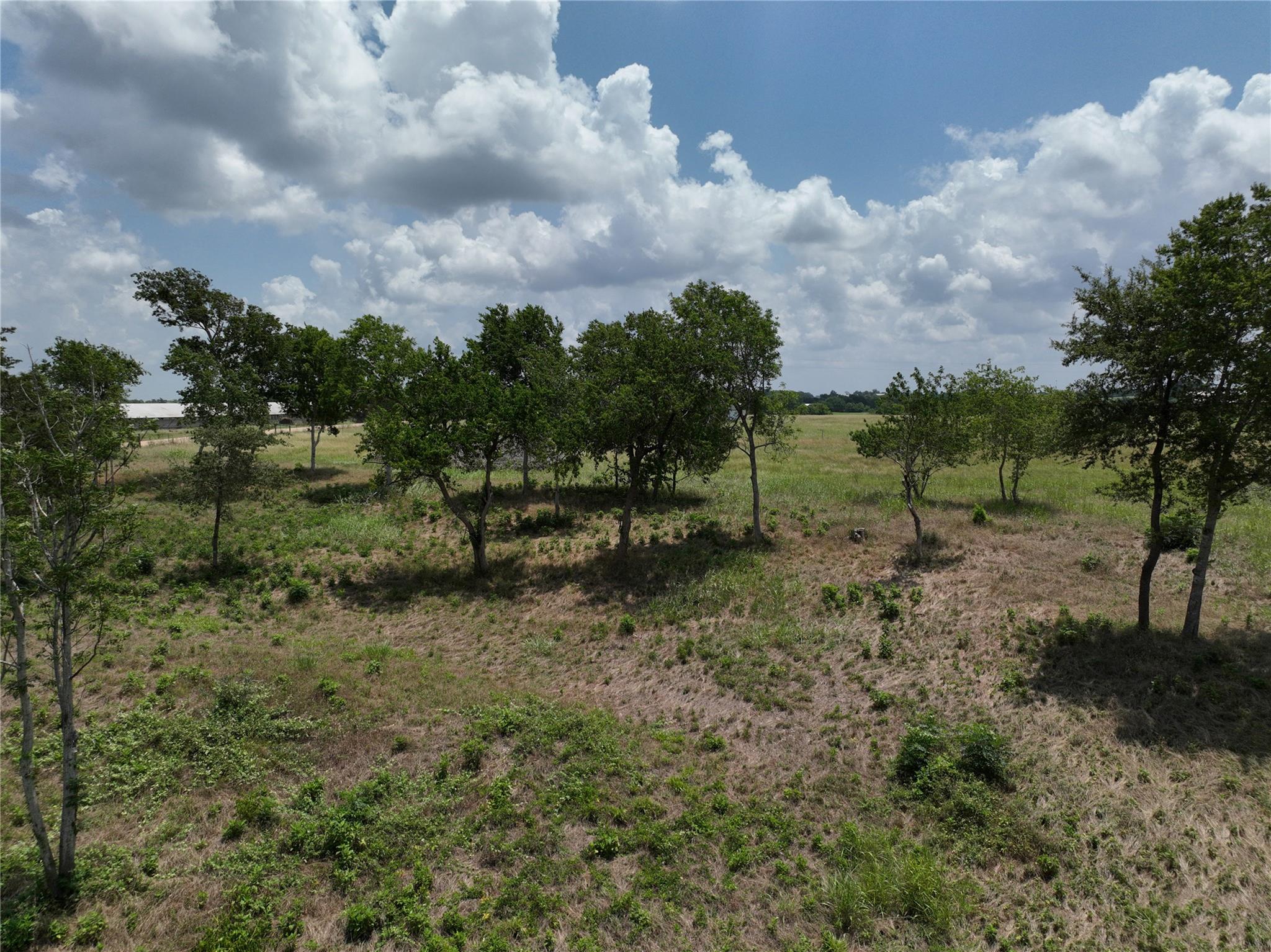 0000 McElroy Ln, New Ulm, TX 78950