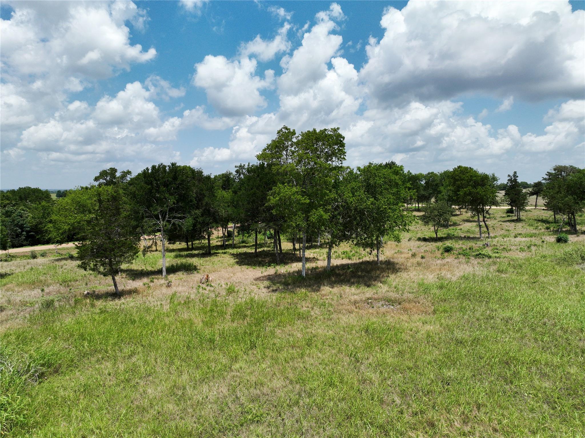 0000 McElroy Ln, New Ulm, TX 78950