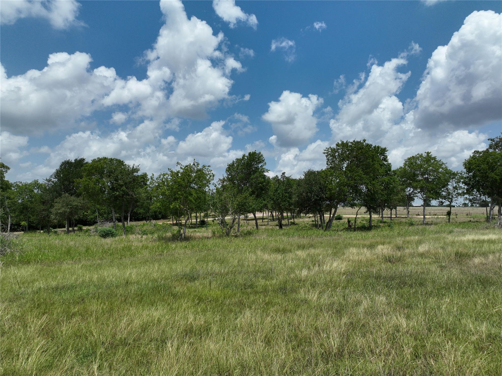 0000 McElroy Ln, New Ulm, TX 78950