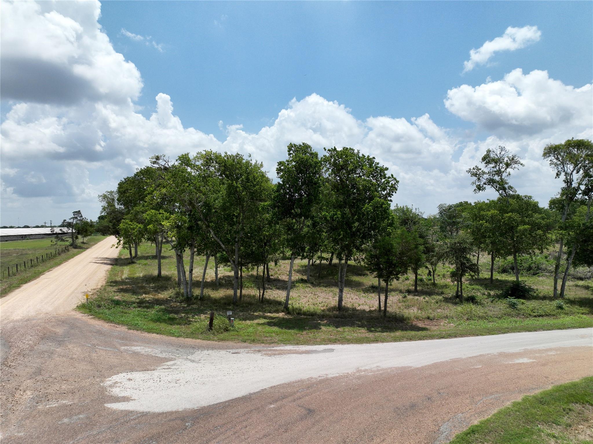 0000 McElroy Ln, New Ulm, TX 78950