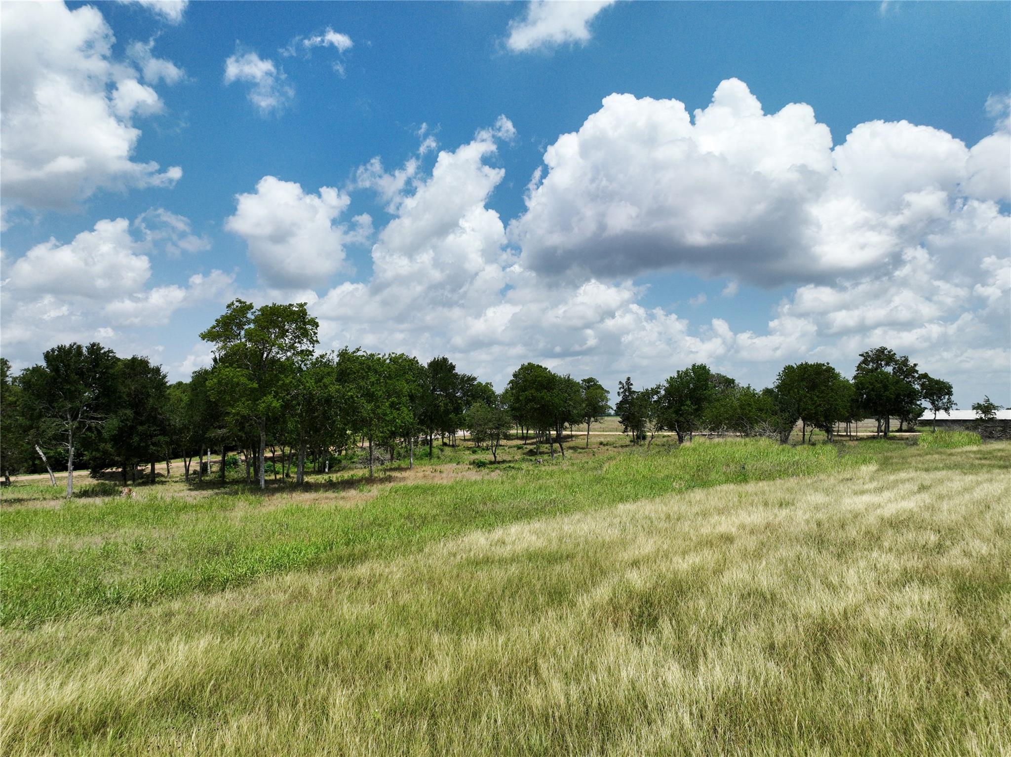0000 McElroy Ln, New Ulm, TX 78950