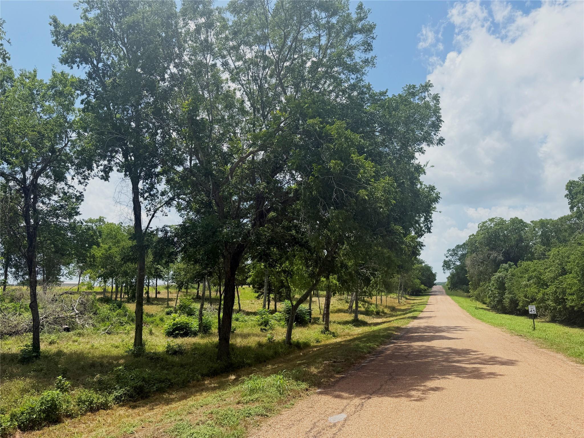 0000 McElroy Ln, New Ulm, TX 78950