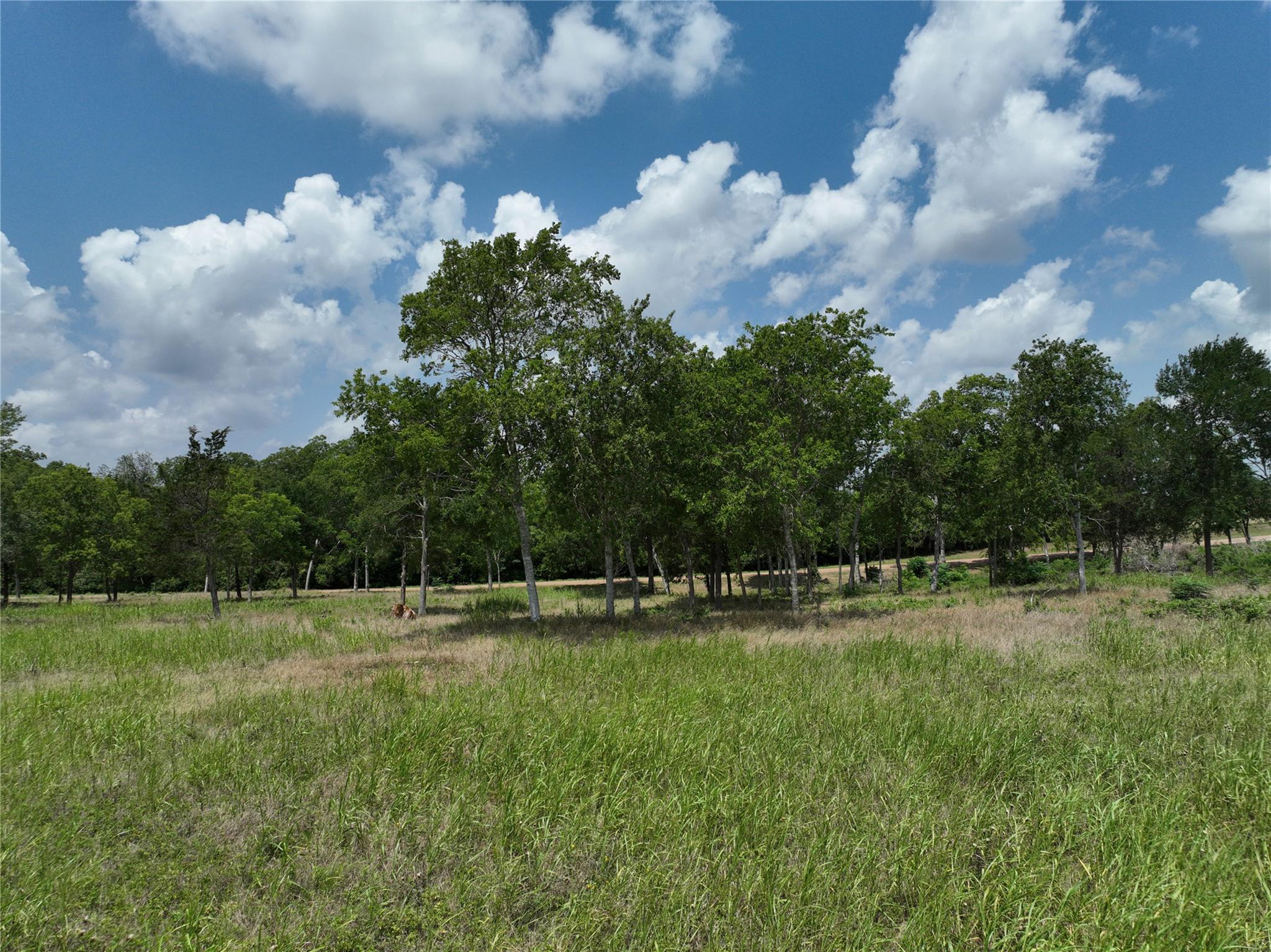 0000 McElroy Ln, New Ulm, TX 78950