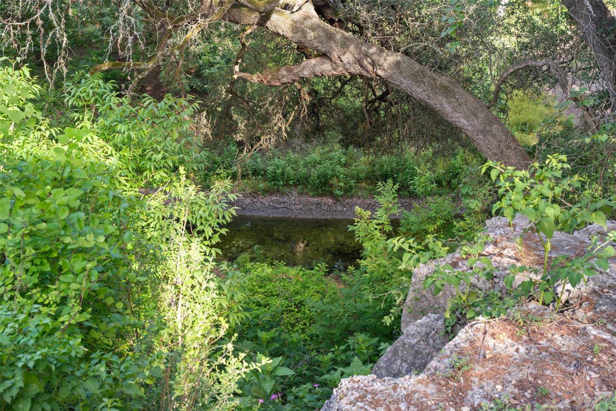 301 Wilson Creek Cir, Wimberley, TX 78676