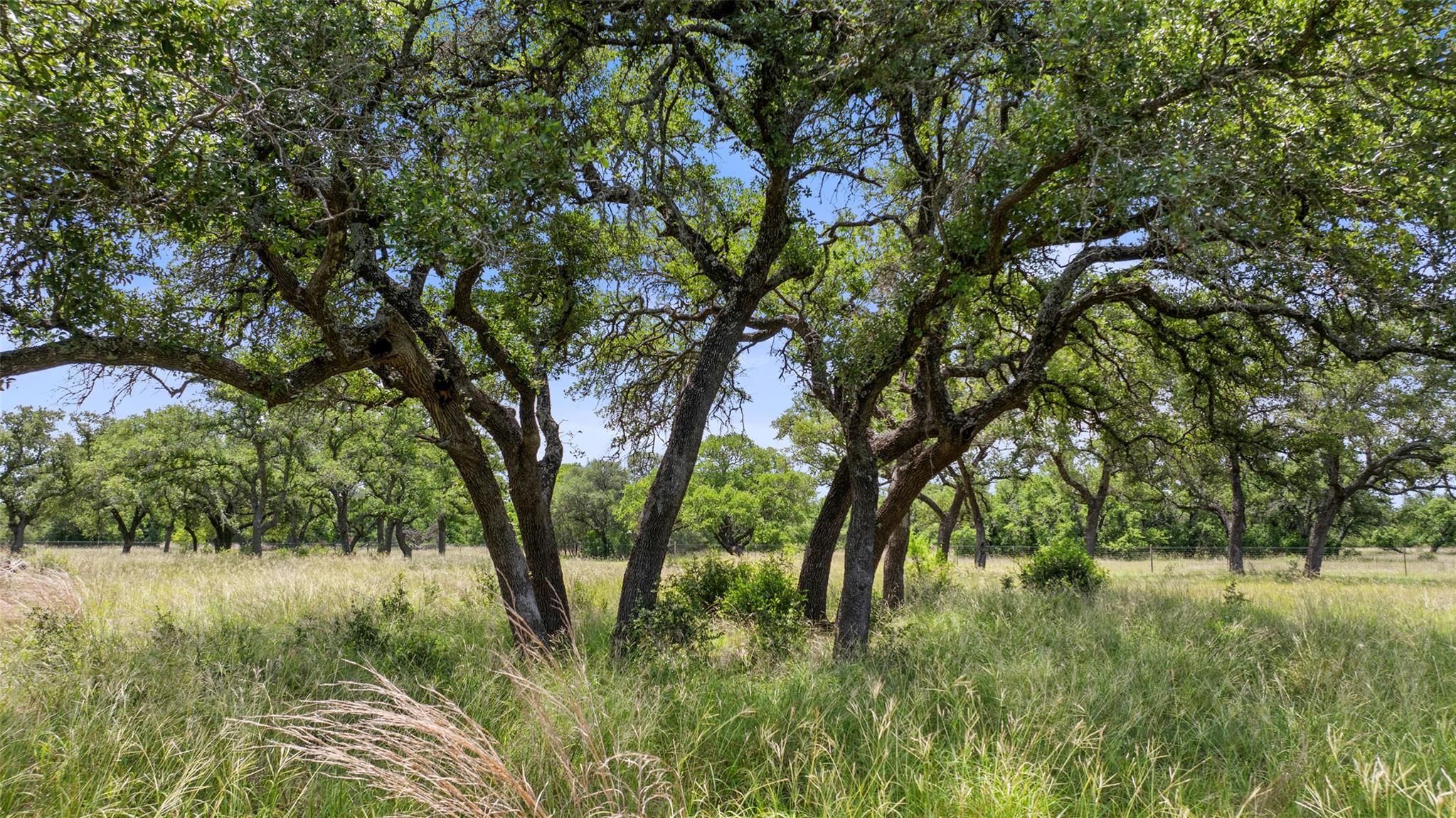 1241 Sandy Oaks Ranch Rd, Johnson City, TX 78636