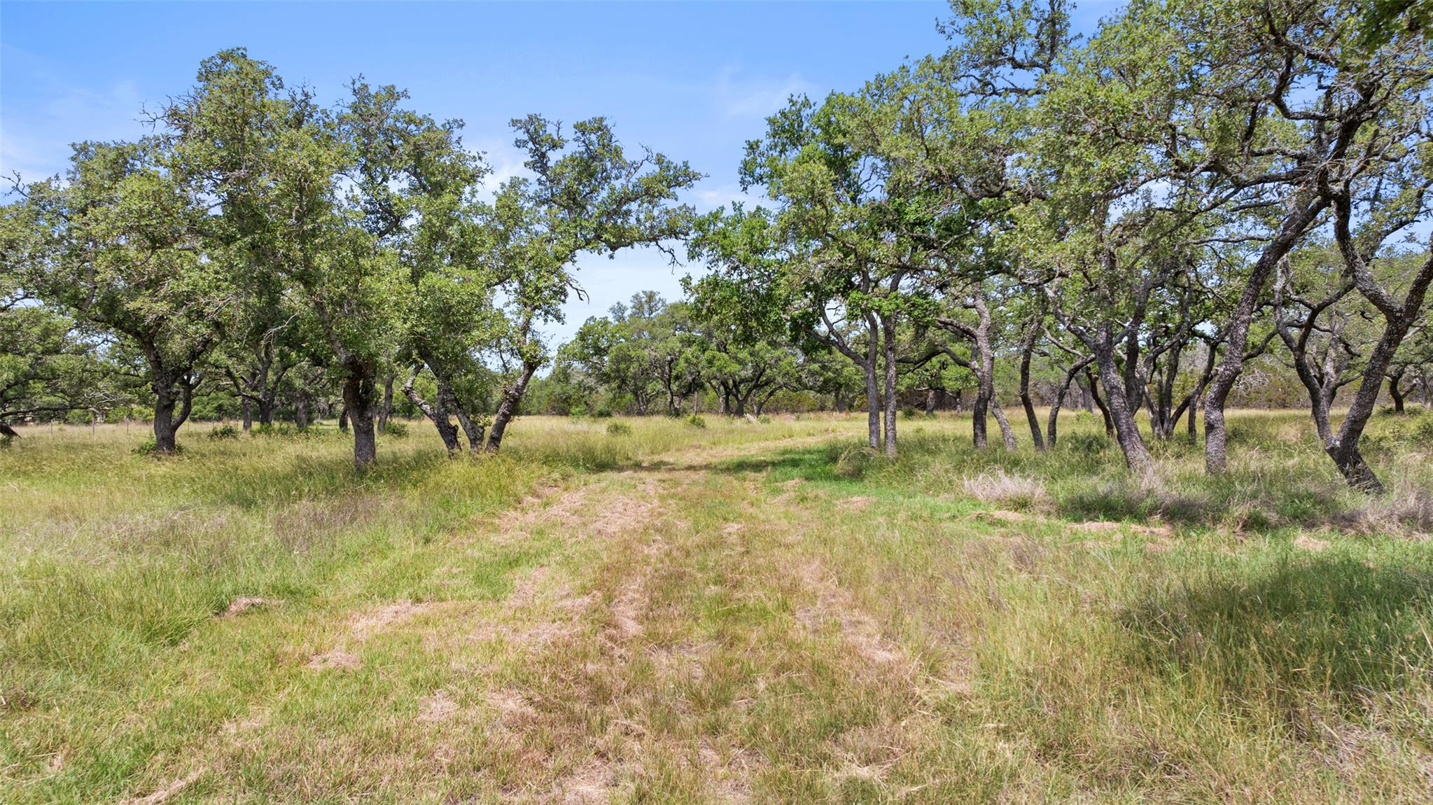 1241 Sandy Oaks Ranch Rd, Johnson City, TX 78636
