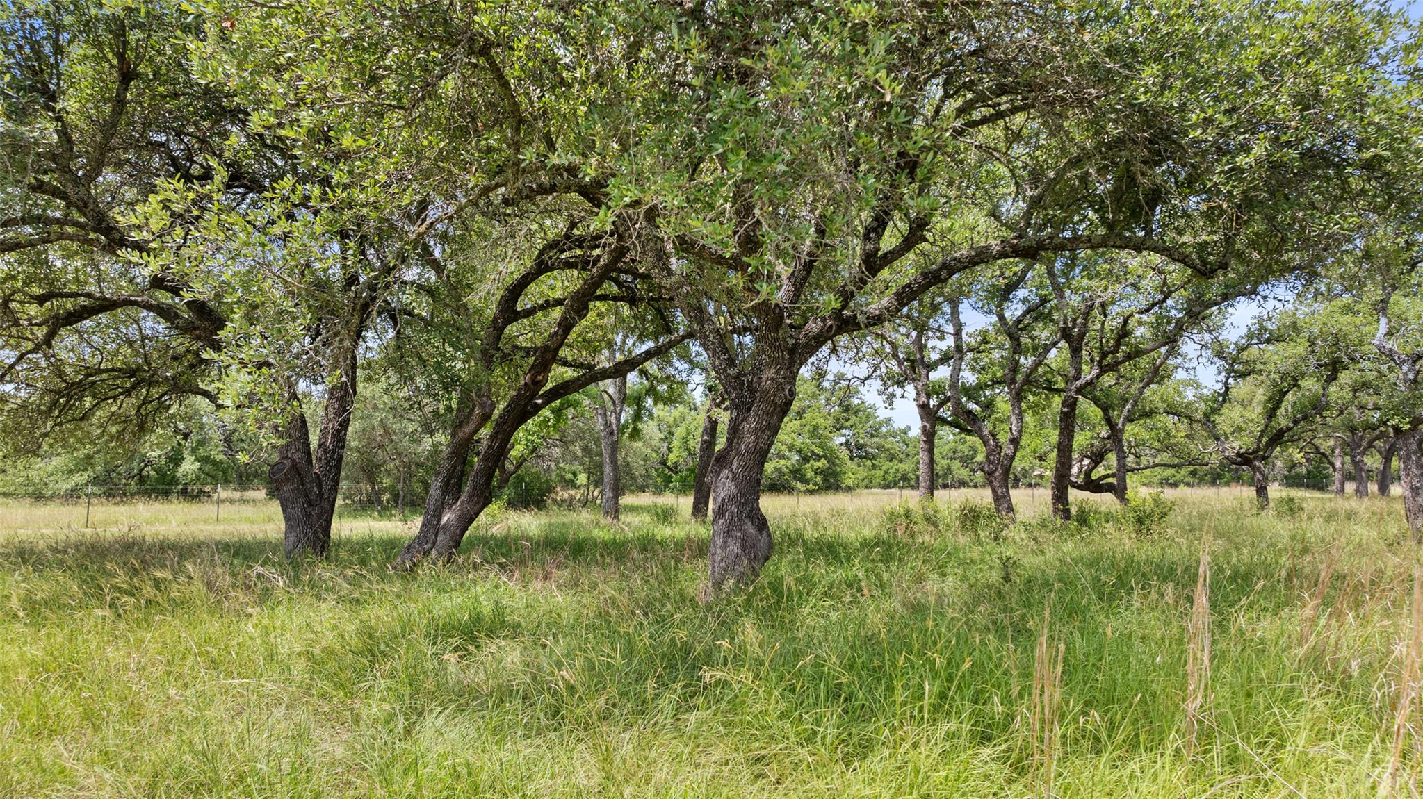 1241 Sandy Oaks Ranch Rd, Johnson City, TX 78636