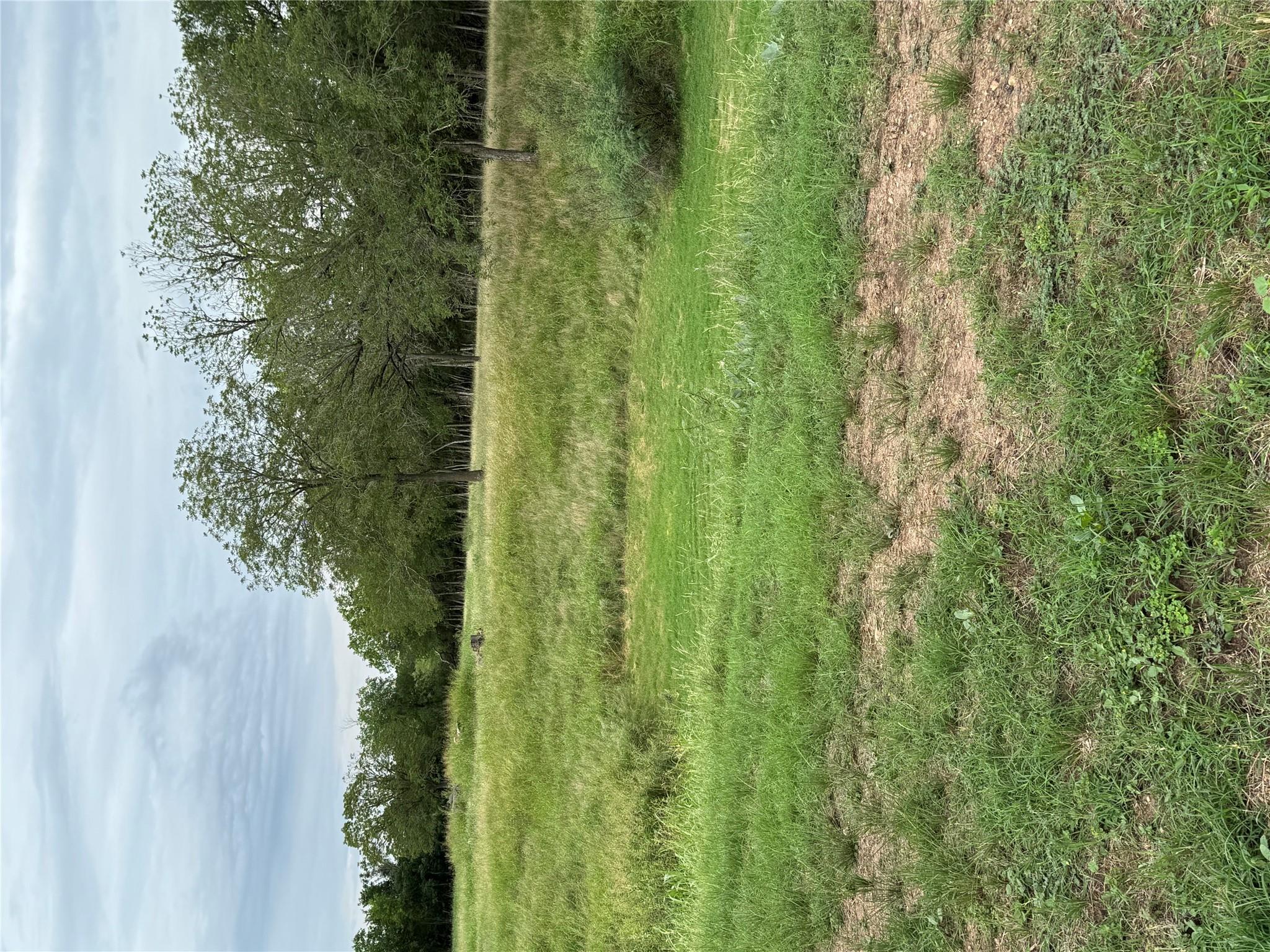 291 Reids Bnd, Bastrop, TX 78602