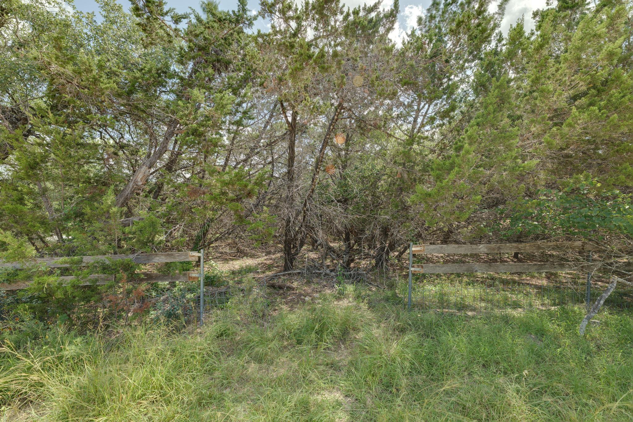17503 Lake Shore Dr, Dripping Springs, TX 78620